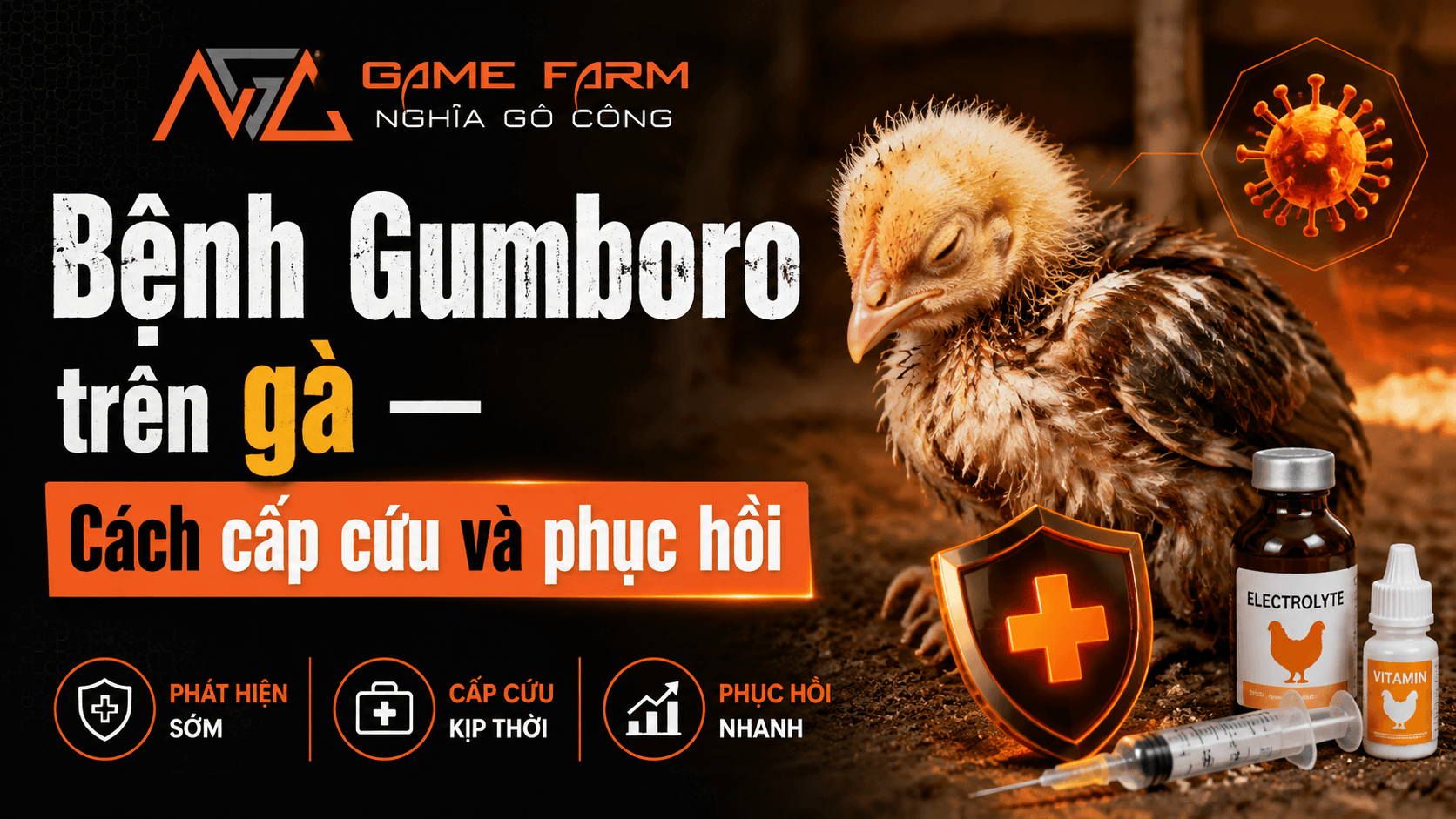 Bệnh Gumboro trên gà: triệu chứng, cấp cứu và lịch tiêm phòng [2026]