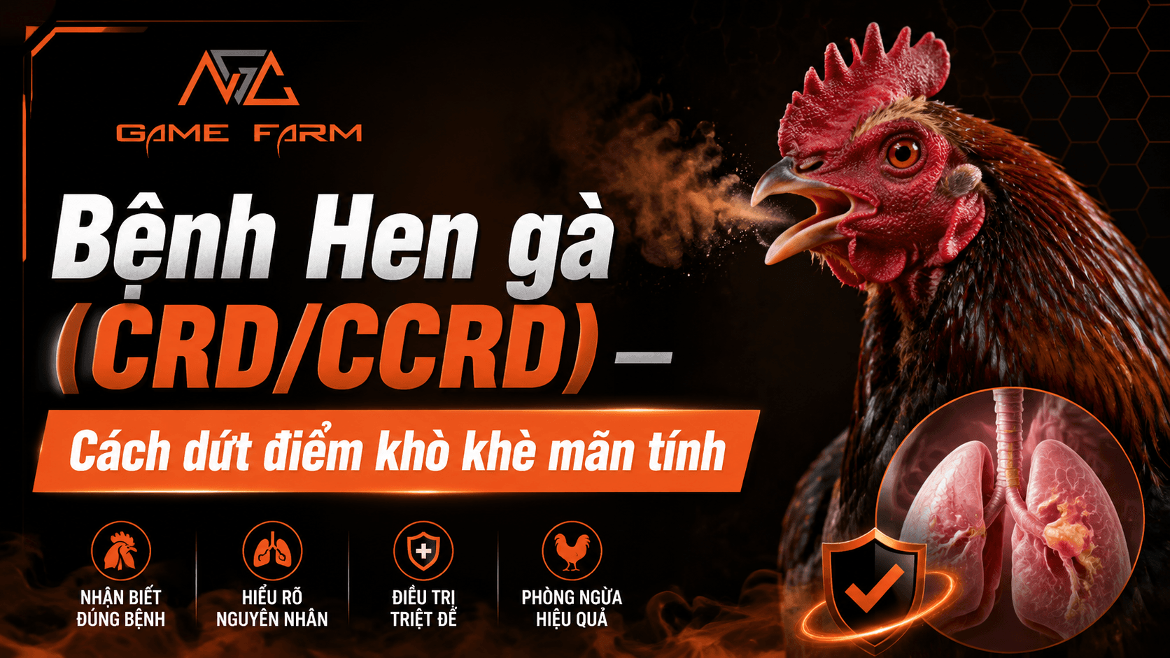 Bệnh Hen Gà (CRD/CCRD): Nguyên Nhân, Triệu Chứng và Phác Đồ Dứt Điểm