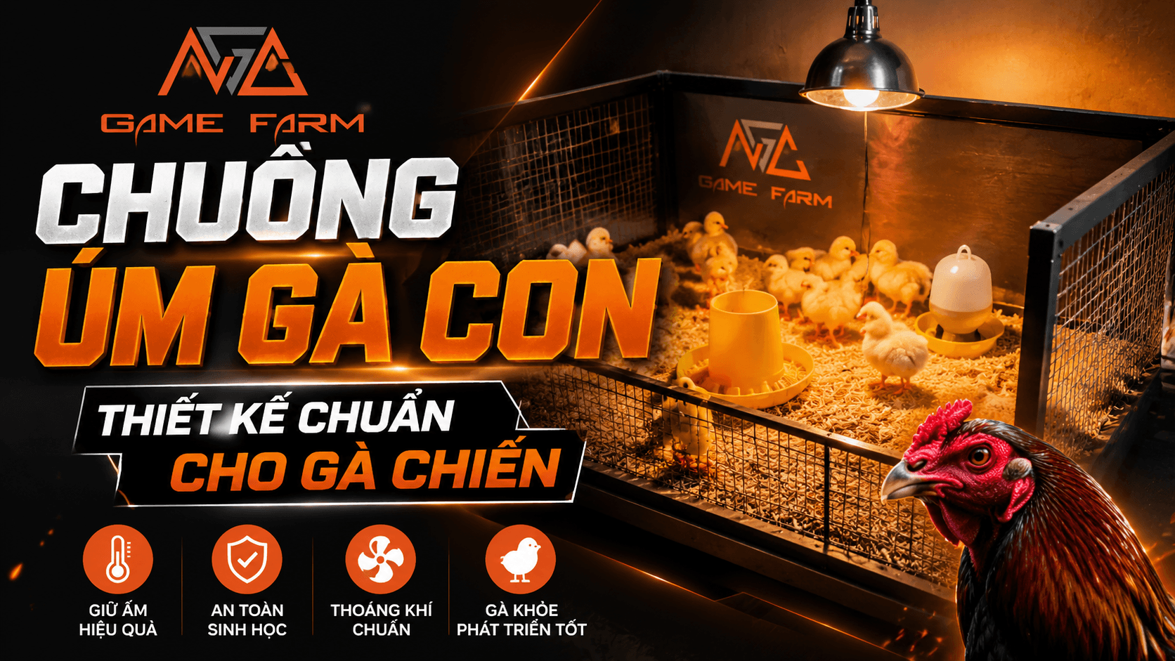 Chuồng Úm Gà Con — Từ Thiết Kế, Thi Công Đến Vận Hành Chuẩn Trại Chuyên Nghiệp