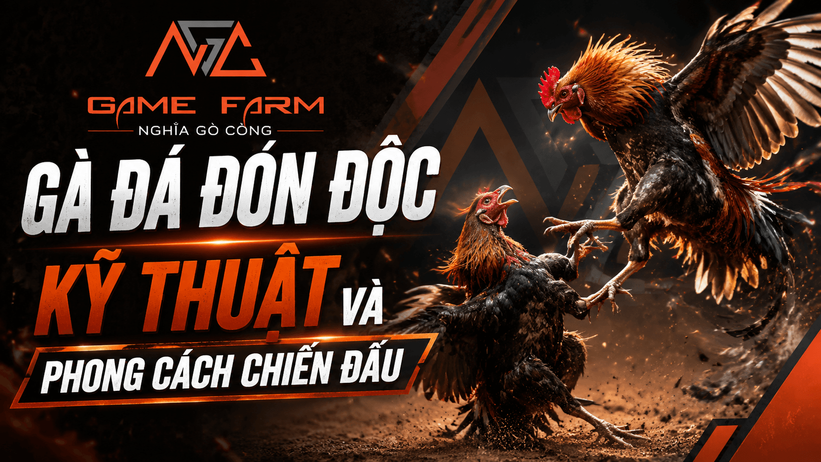 Gà Đá Đòn Độc: Đặc Điểm Nhận Biết, Các Thế Đá Hiểm Và Cách Huấn Luyện