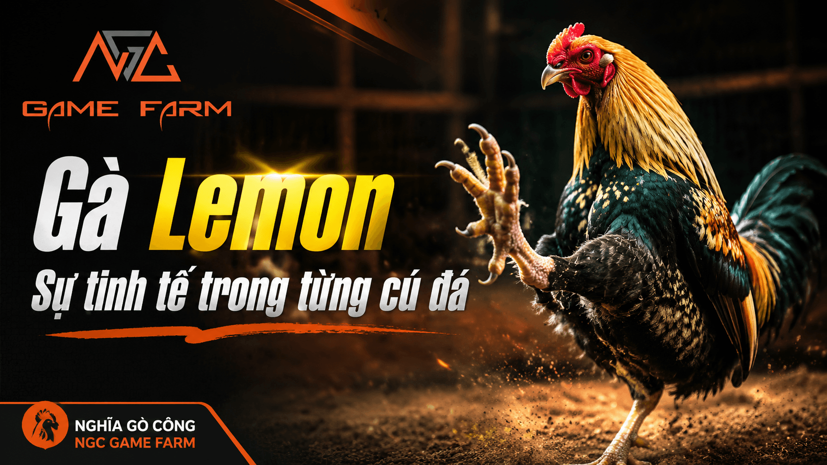 Gà Lemon Là Gì? Nguồn Gốc, Đặc Điểm và Lối Đá Né Đòn Đặc Trưng