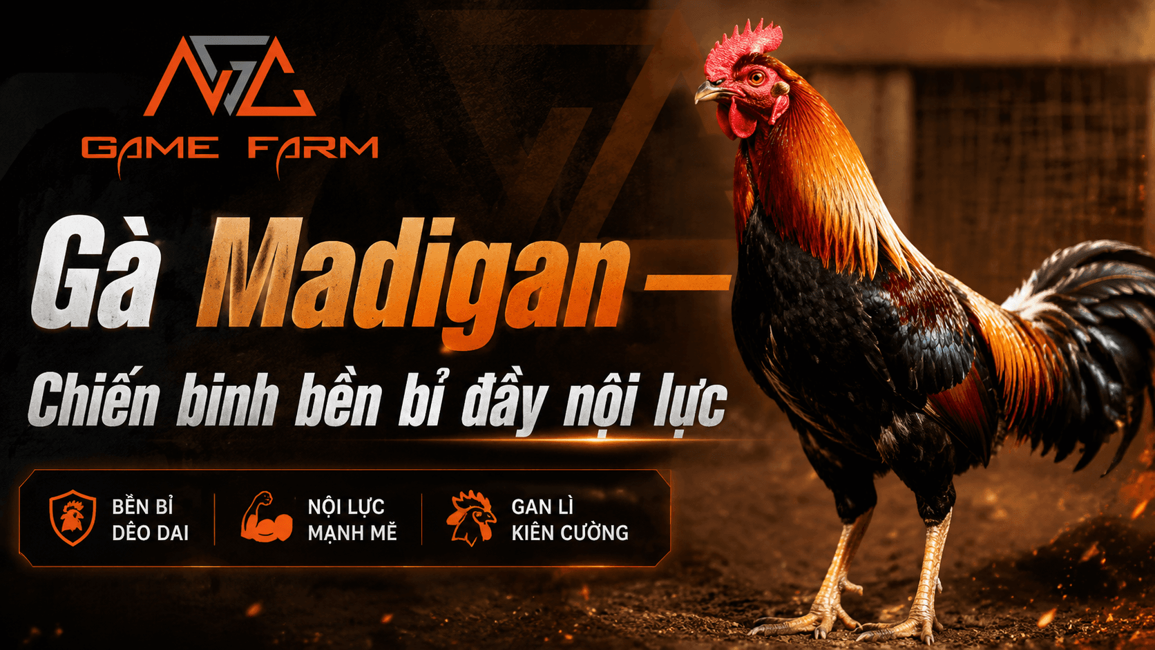 Gà Madigan — Dòng Máu Claret Huyền Thoại Từ Đại Tá John H. Madigan