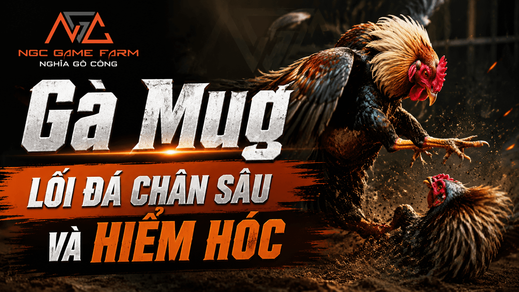 Gà Mug: Nguồn Gốc, Đặc Điểm Nhận Dạng và Lối Đá Hiểm Hóc