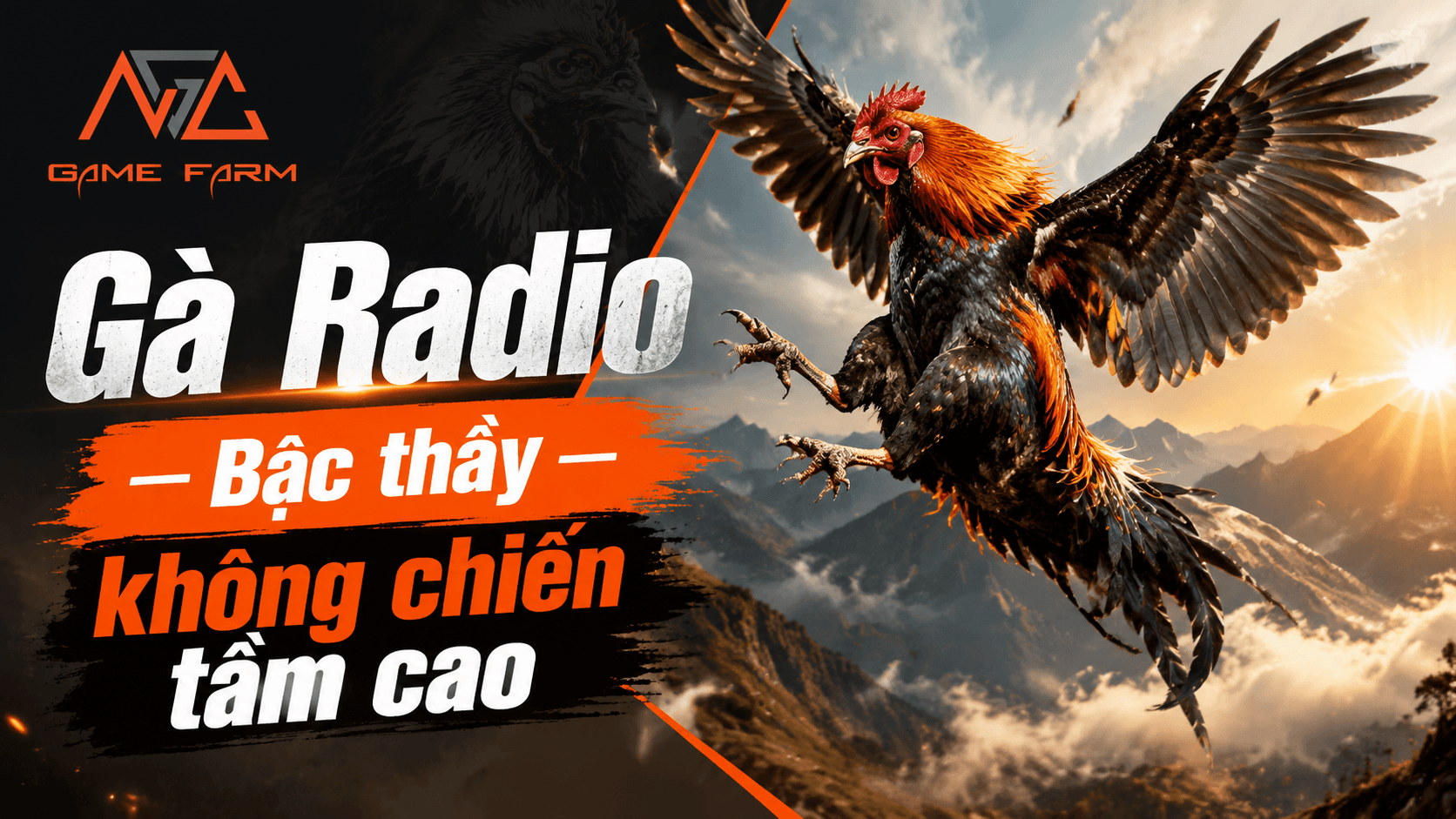 Gà Radio: Nguồn Gốc, Đặc Điểm Nhận Diện và Phong Cách Chiến Đấu