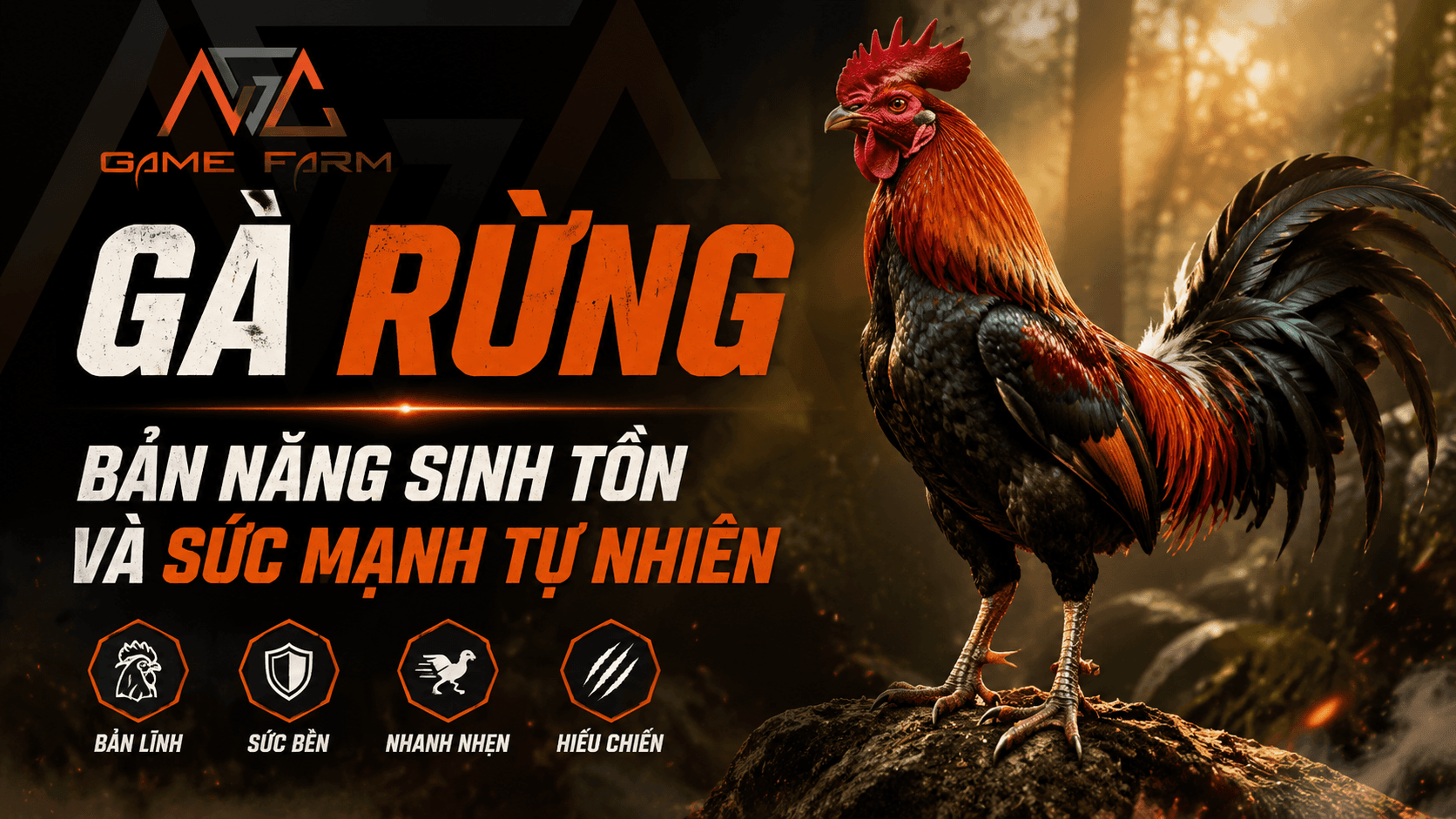 Gà Rừng Việt Nam: Đặc Điểm Nhận Dạng, Kỹ Thuật Nuôi và Bảng Giá 2026