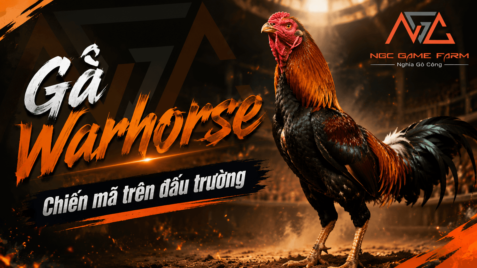 Gà Warhorse: Nguồn Gốc, Đặc Điểm và Phong Cách Chiến Đấu