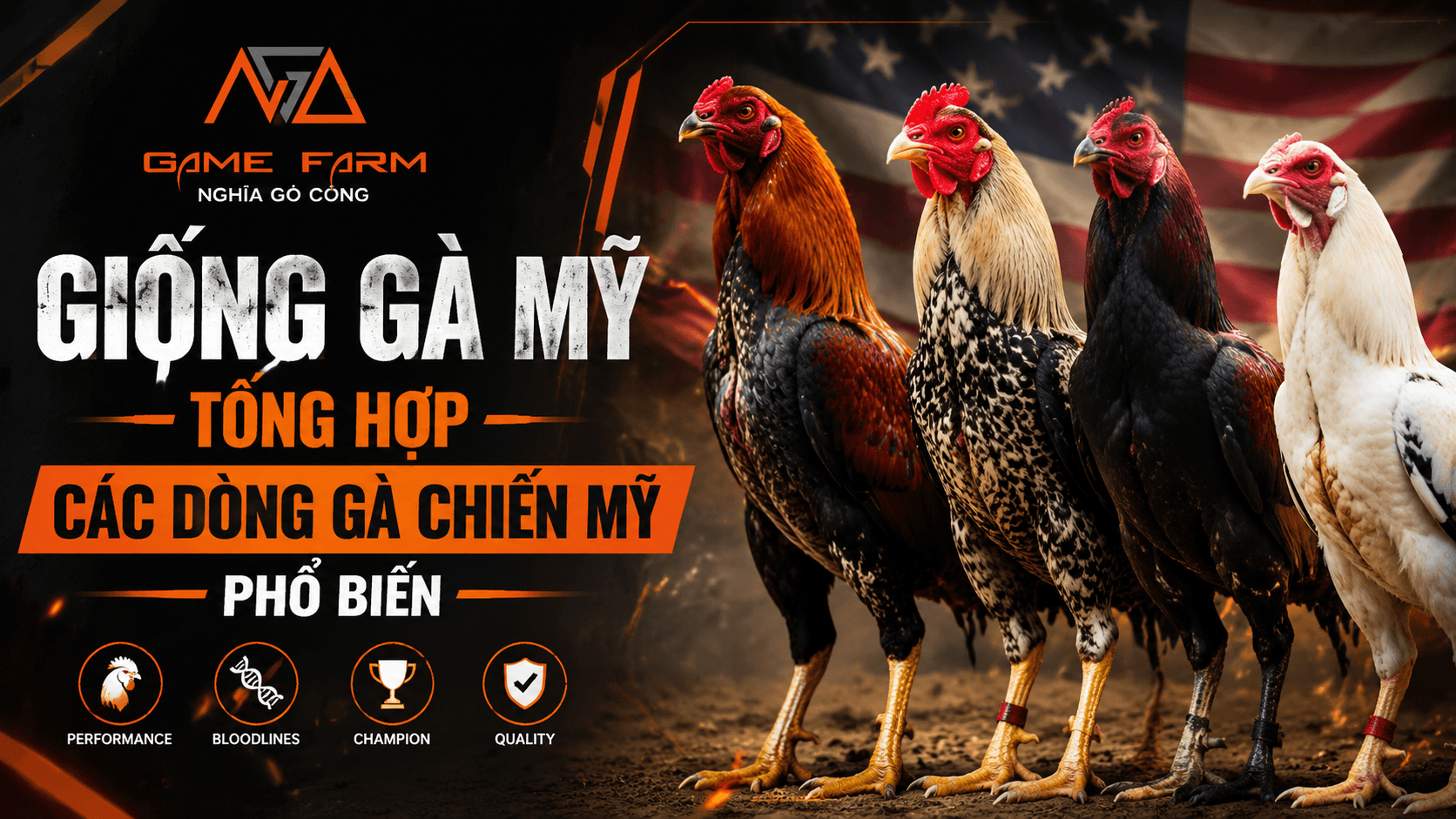 Giống Gà Mỹ: Các Dòng Phổ Biến, Đặc Điểm và Cách Chọn Đúng Dòng