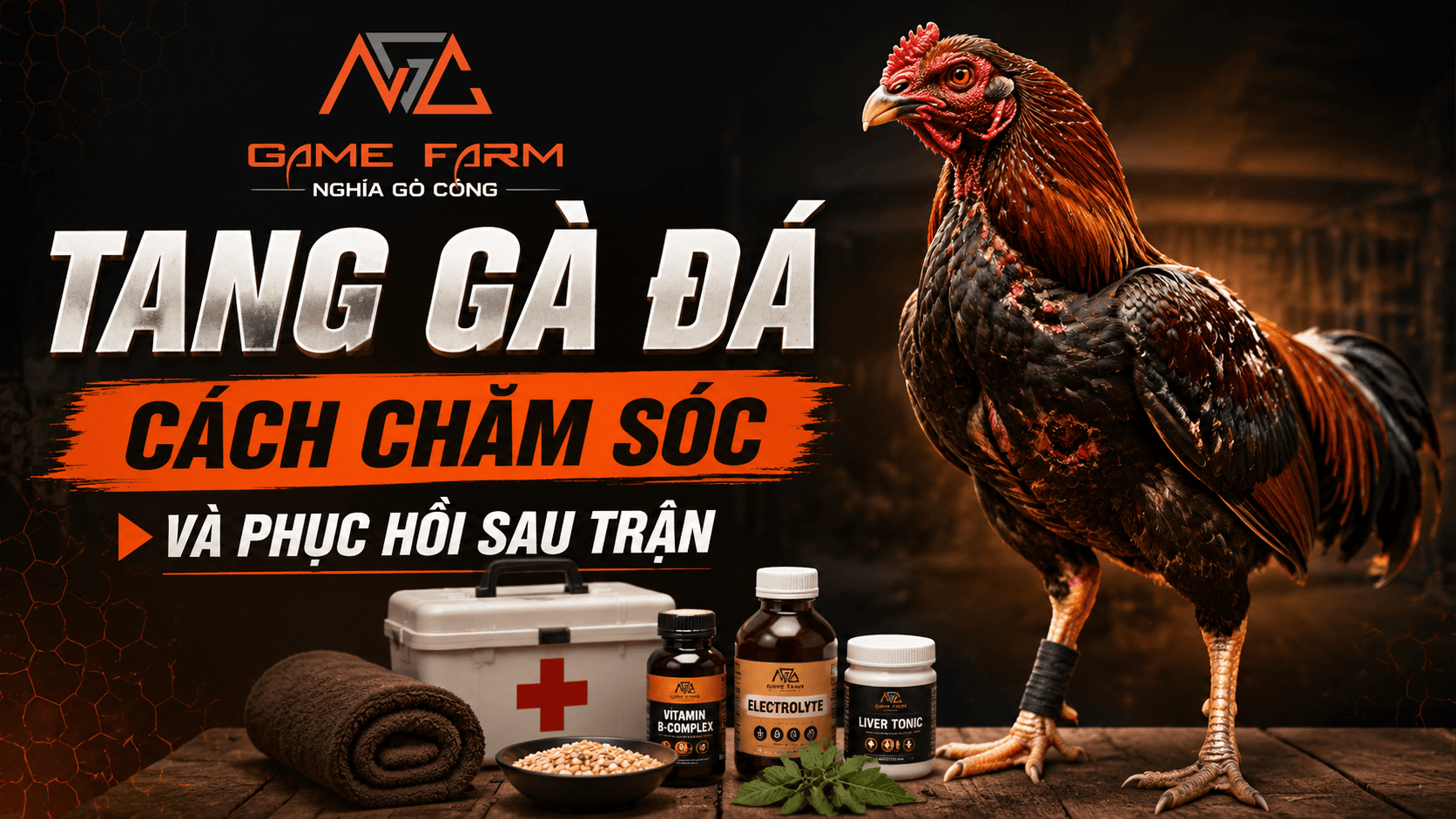 Tang gà đá: Phác đồ xử lý và phục hồi chuẩn thú y từ trại Gò Công
