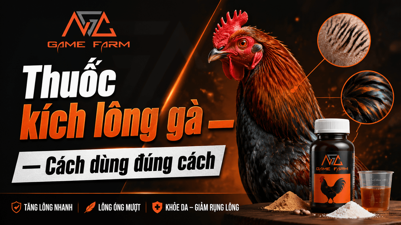 Thuốc Kích Lông Gà: Thành Phần, So Sánh Giá Và Phác Đồ 30 Ngày
