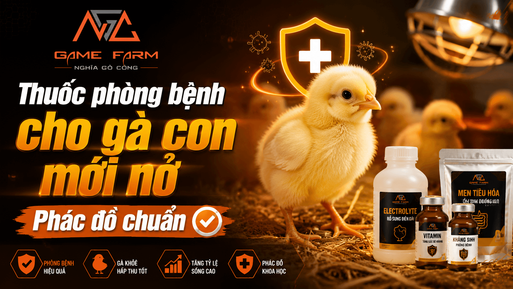 Thuốc phòng bệnh cho gà con mới nở: Phác đồ chuẩn từ ngày 1 đến ngày 21