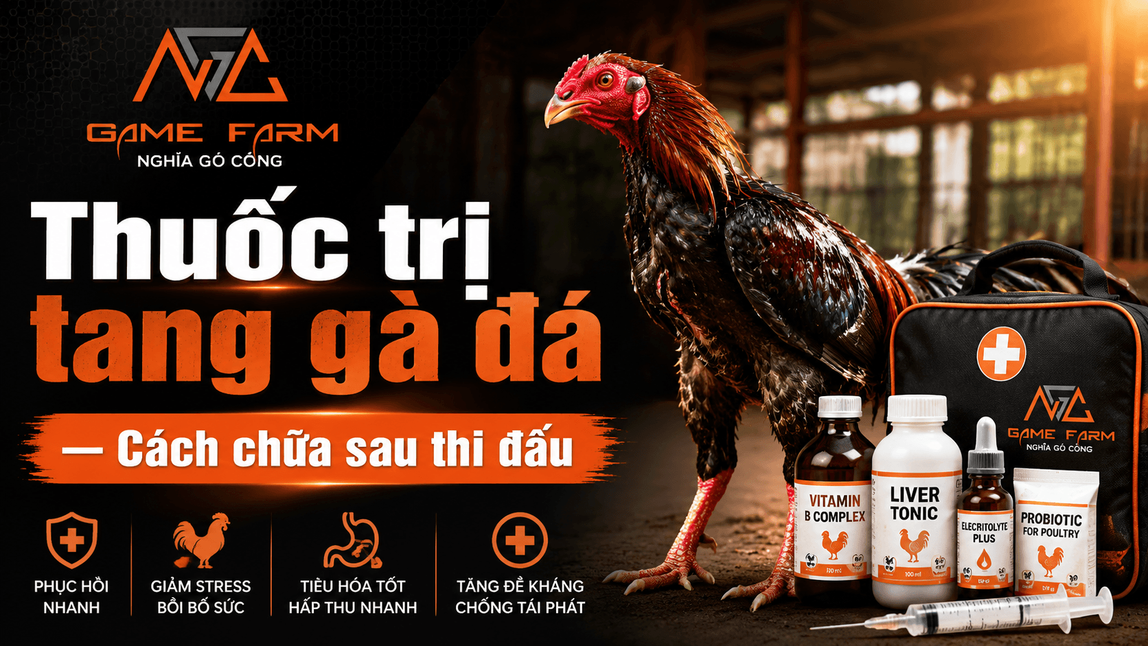 Thuốc Trị Tang Gà Đá: Phác Đồ Sơ Cứu, Liều Tiêm Và Phục Hồi Sau Trận