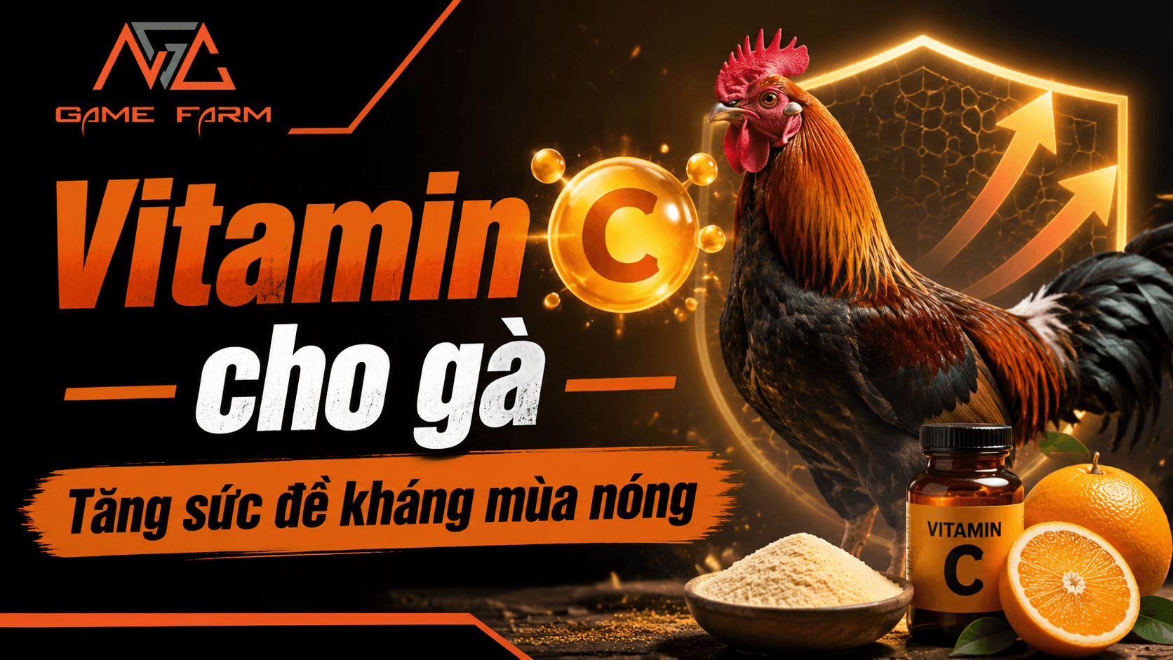 Vitamin C Cho Gà: Liều Lượng, Cách Pha Và Lịch Bổ Sung Theo Mùa