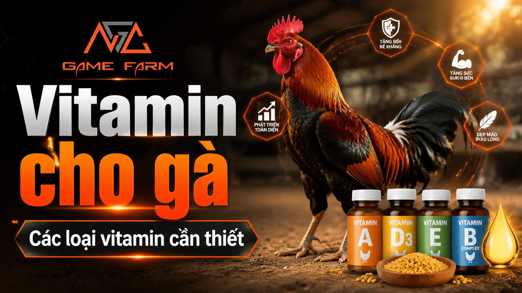Vitamin cho gà: các loại cần thiết, liều dùng và phác đồ theo giai đoạn