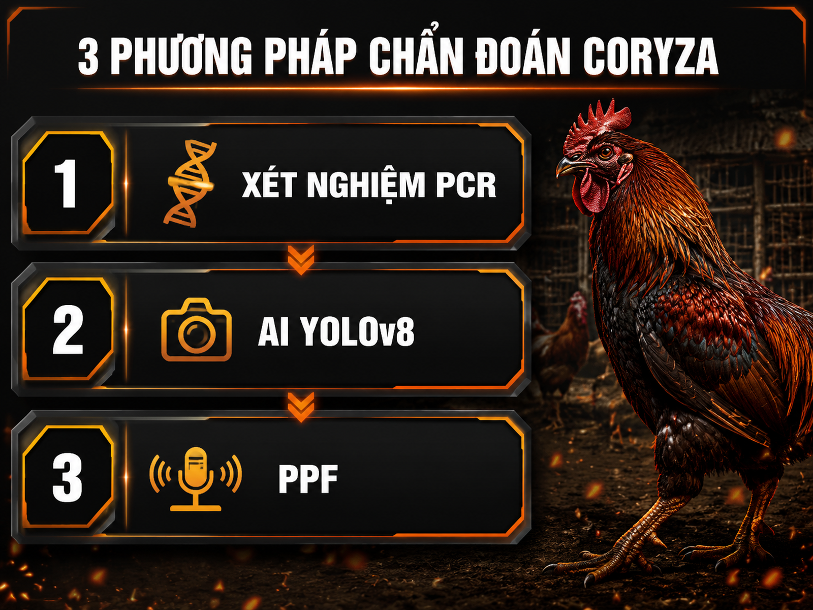 Xu hướng công nghệ chẩn đoán Coryza gà: PCR, AI YOLOv8, PPF