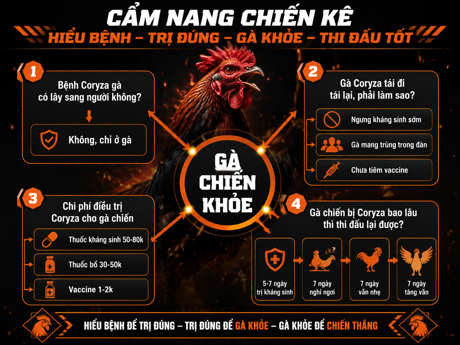 Hình infographic radial Q&A bệnh Coryza gà chiến, trung tâm gà khỏe, nhánh thông tin xung quanh, phong cách dark combat, dễ đọc