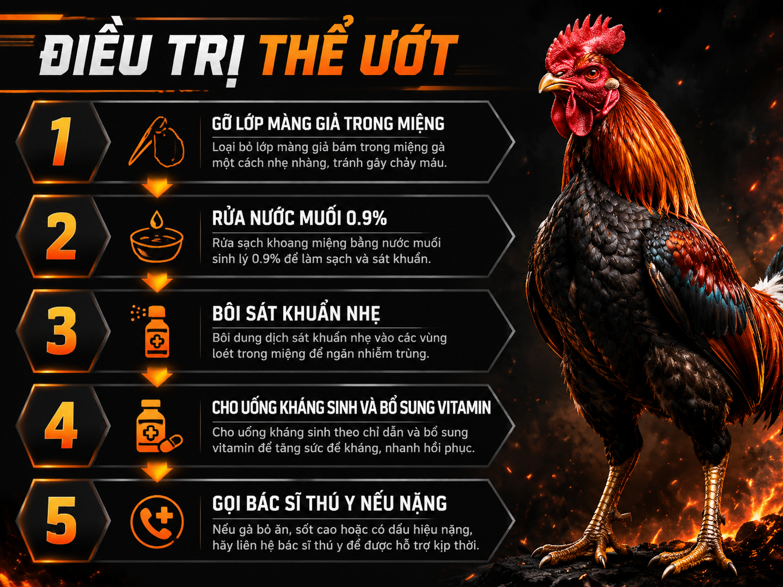 <vi SEO>Infographic hướng dẫn điều trị gà bệnh đậu gà thể ướt từ chăm sóc tại nhà đến khi cần bác sĩ thú y, thể hiện quy trình theo phễu.</vi>