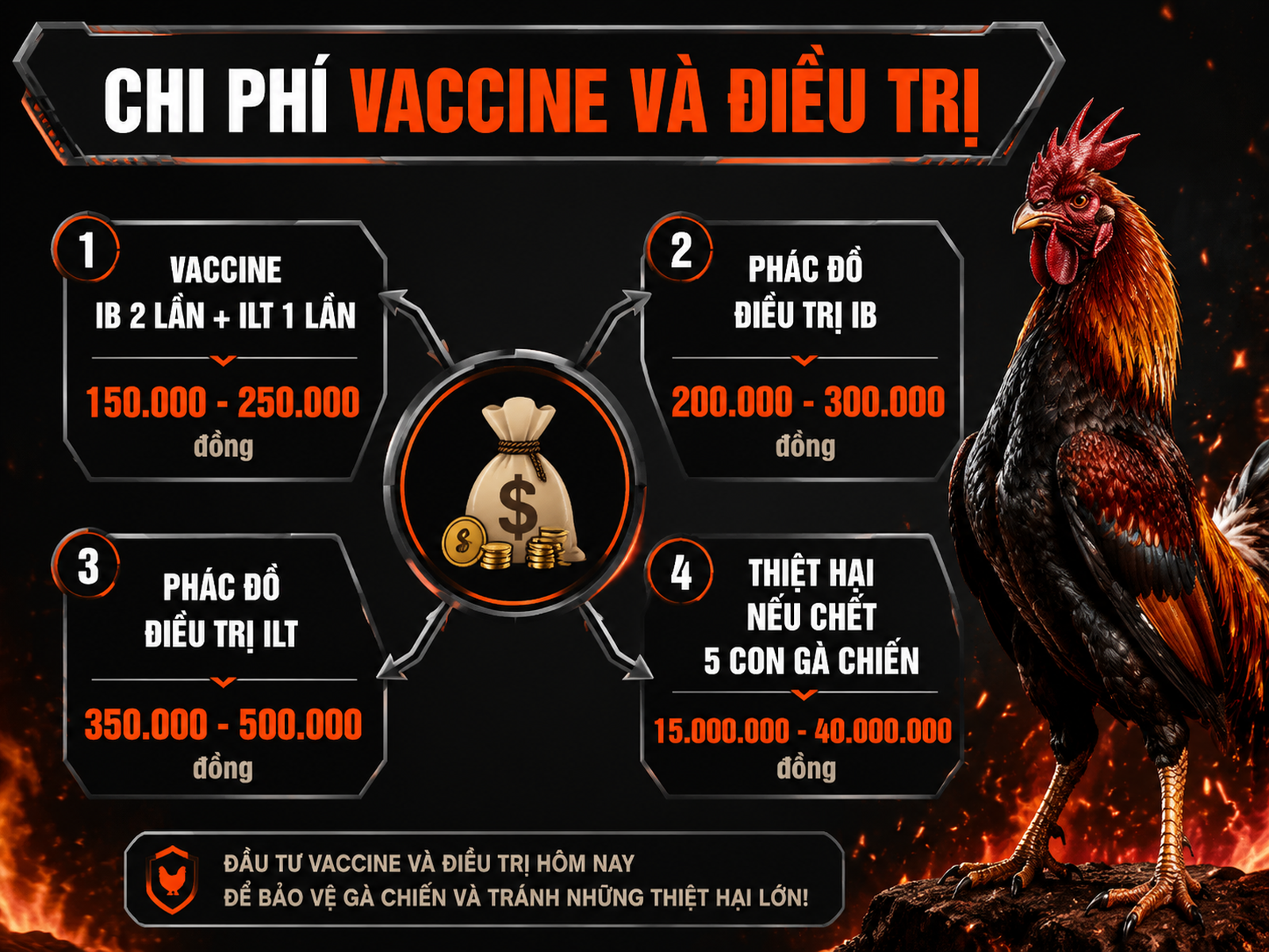 So sánh chi phí vaccine và điều trị bệnh IB và ILT trên gà chiến, minh hoạ visual dữ liệu trực quan