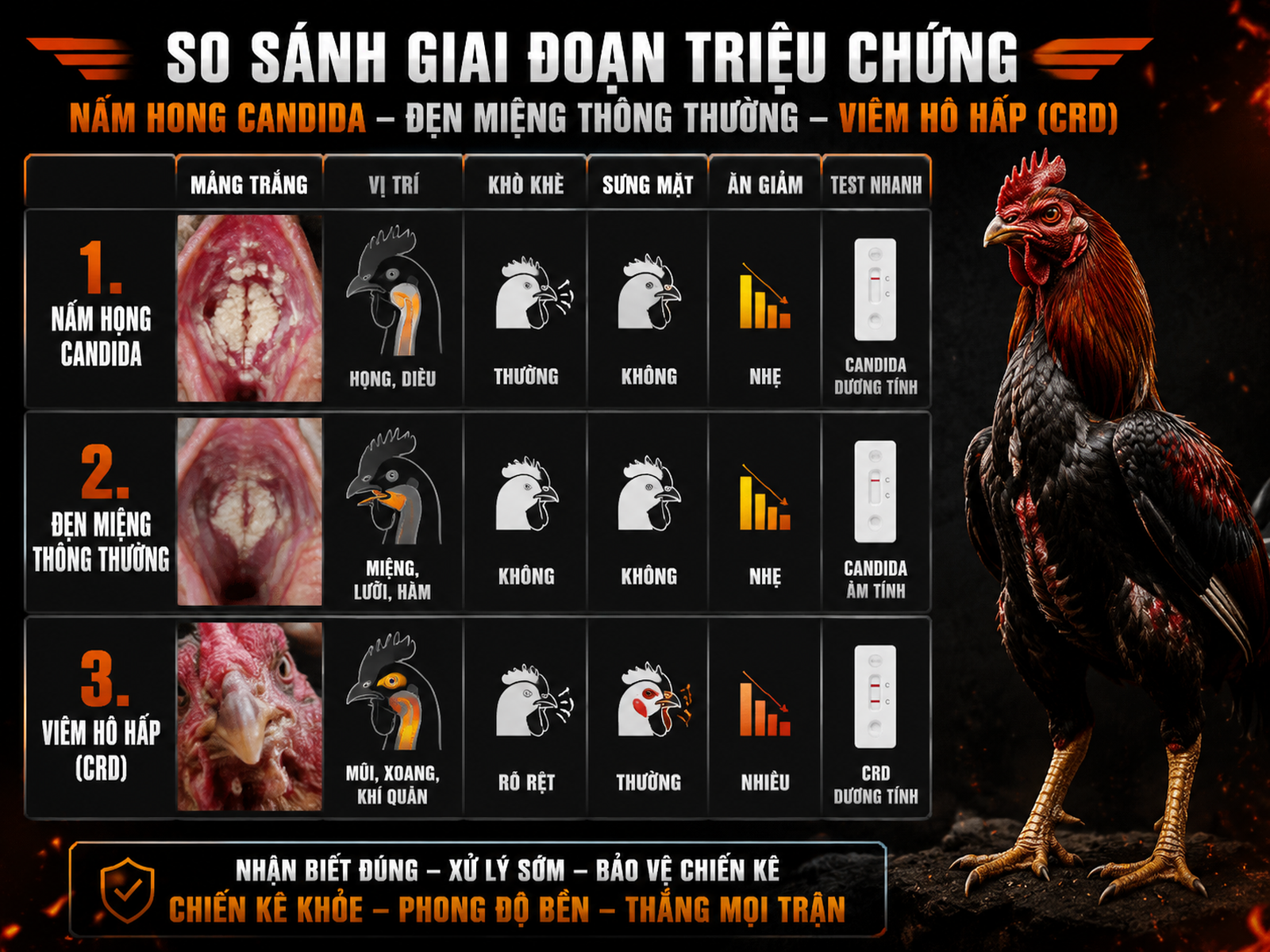 <vi SEO>Ảnh minh hoạ bảng so sánh triệu chứng nấm họng gà, đẹn miệng và viêm hô hấp