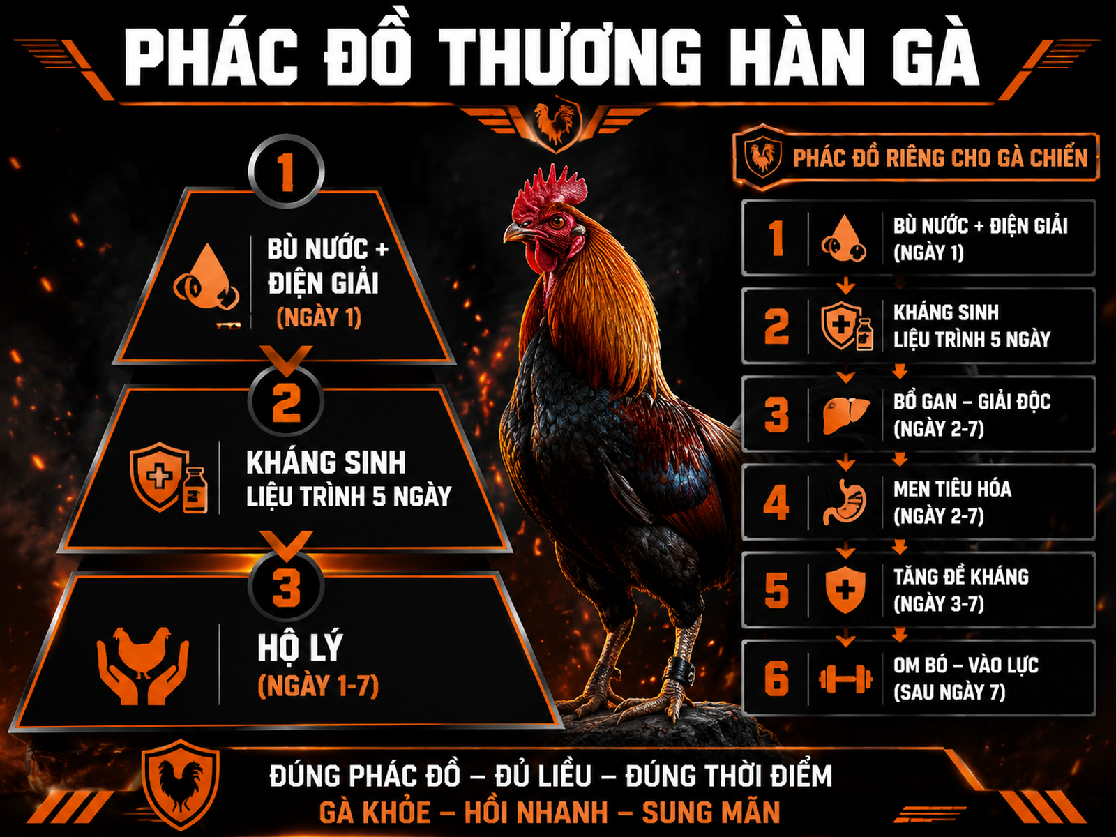 Phác đồ điều trị bệnh thương hàn gà 2026