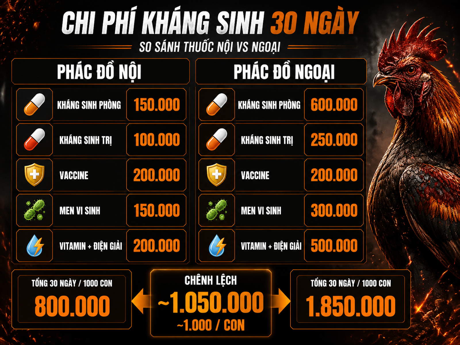 Infographic chi phí kháng sinh 30 ngày cho 1000 gà con nội vs ngoại, bảng so sánh từng hạng mục và tổng tiền