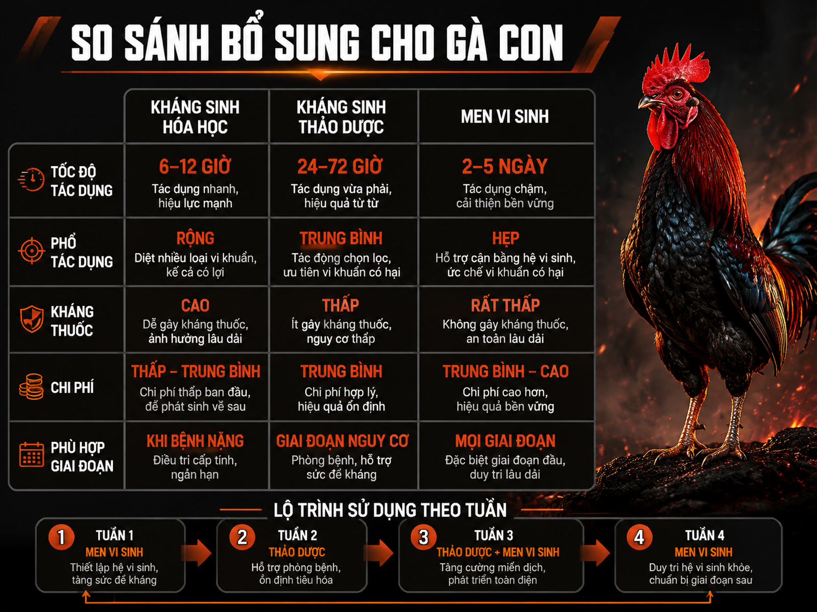 Infographic so sánh kháng sinh hóa học, kháng sinh thảo dược và men vi sinh cho gà con, layout split comparison, phong cách chiến gà mạnh mẽ, dark