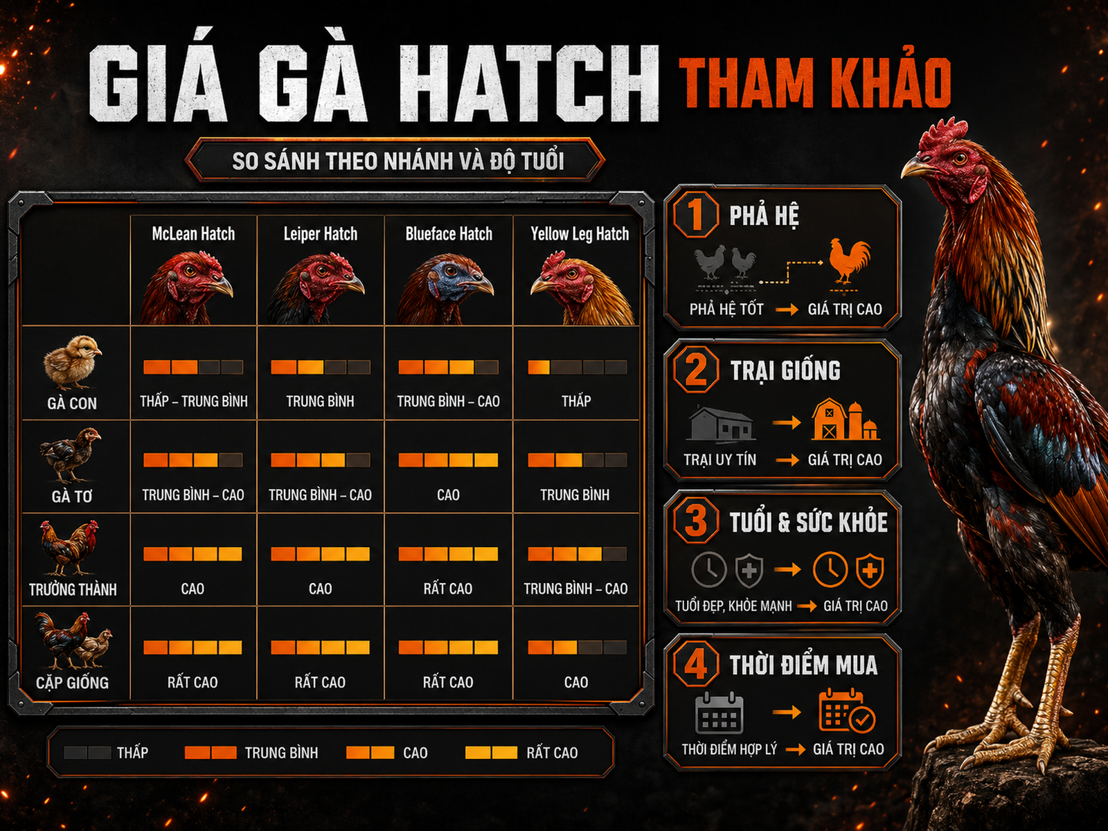 So sánh giá gà Hatch McLean Leiper Blueface Yellow Leg theo độ tuổi và yếu tố ảnh hưởng giá
