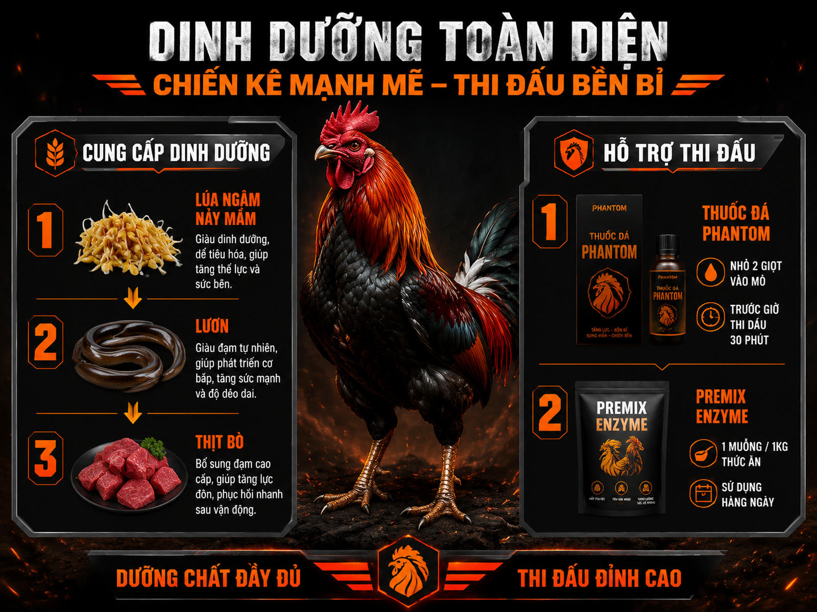 Hình ảnh minh họa so sánh chế độ dinh dưỡng và thuốc bổ trợ cho gà tơ 4-6 tháng, giúp tăng phản xạ và sức bền chiến kê