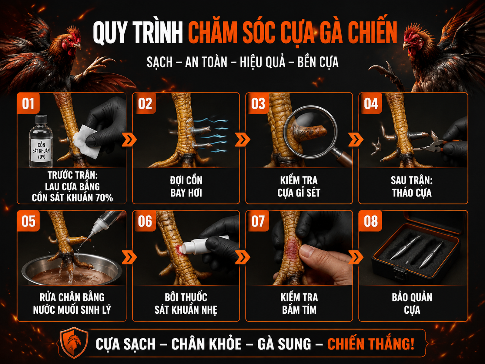 Hướng dẫn vệ sinh cựa sắt gà chiến trước và sau trận, từng bước trực quan