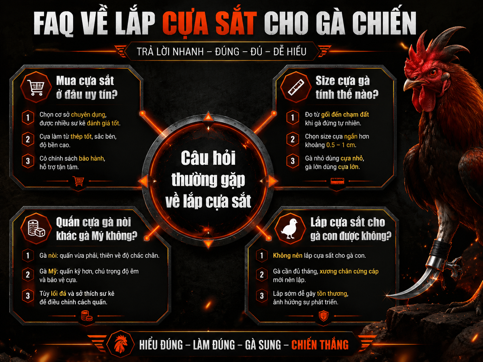 Hướng dẫn FAQ lắp cựa sắt cho gà chiến Gò Công, bảng size và lưu ý an toàn