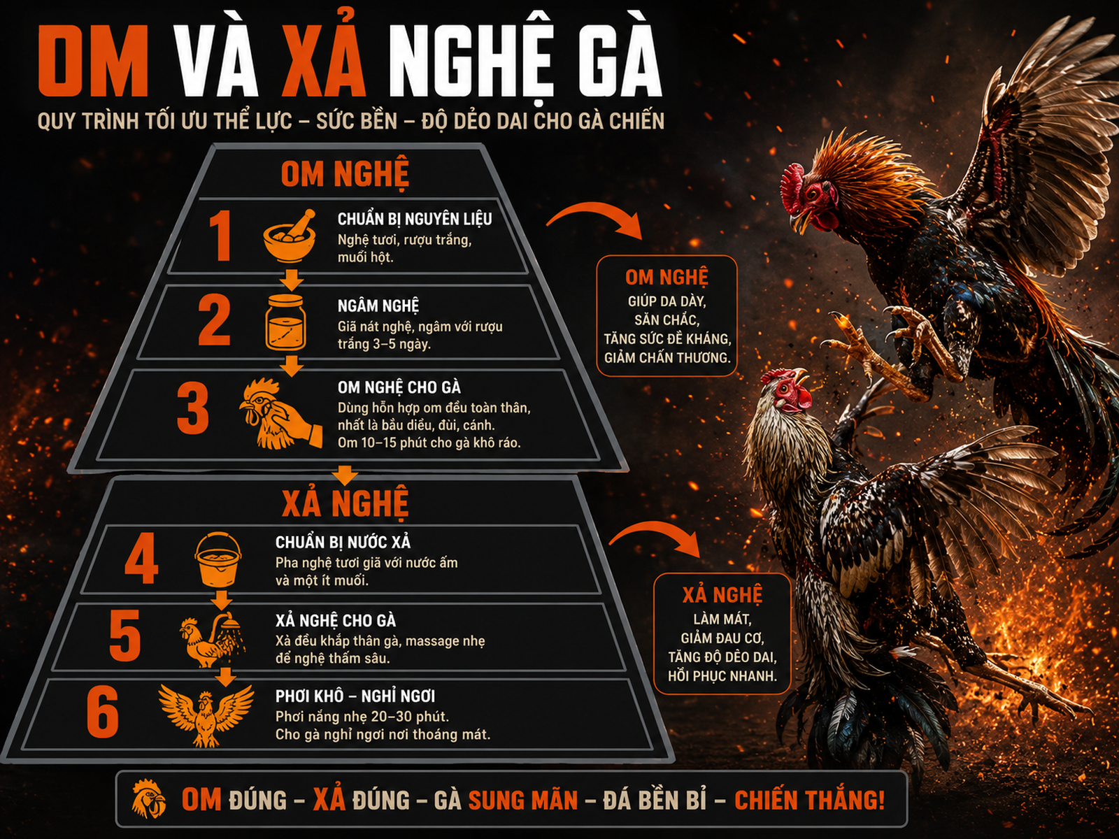 Hình ảnh diagram 4:3 về quy trình om nghệ và xả nghệ cho gà chiến, từng bước rõ ràng với chú thích, phong cách dark combat