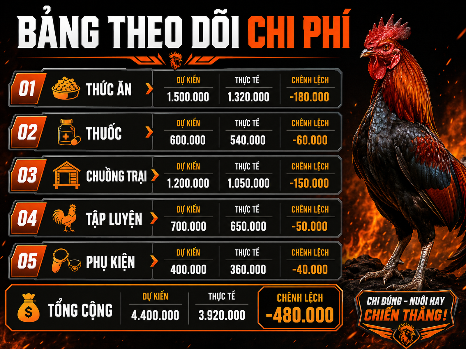 Infographic chi phí nuôi gà chiến, từng khoản chi, so sánh dự kiến và thực tế, gà chiến oai vệ bên cạnh