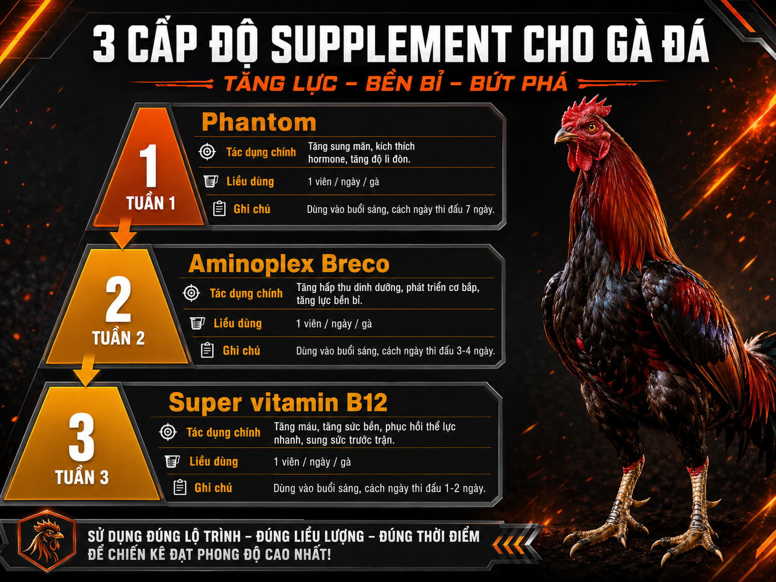 Sơ đồ tháp thuốc bổ trợ cho gà cựa sắt, hiển thị Phantom, Aminoplex Breco, B12 với tác dụng, liều dùng, ghi chú