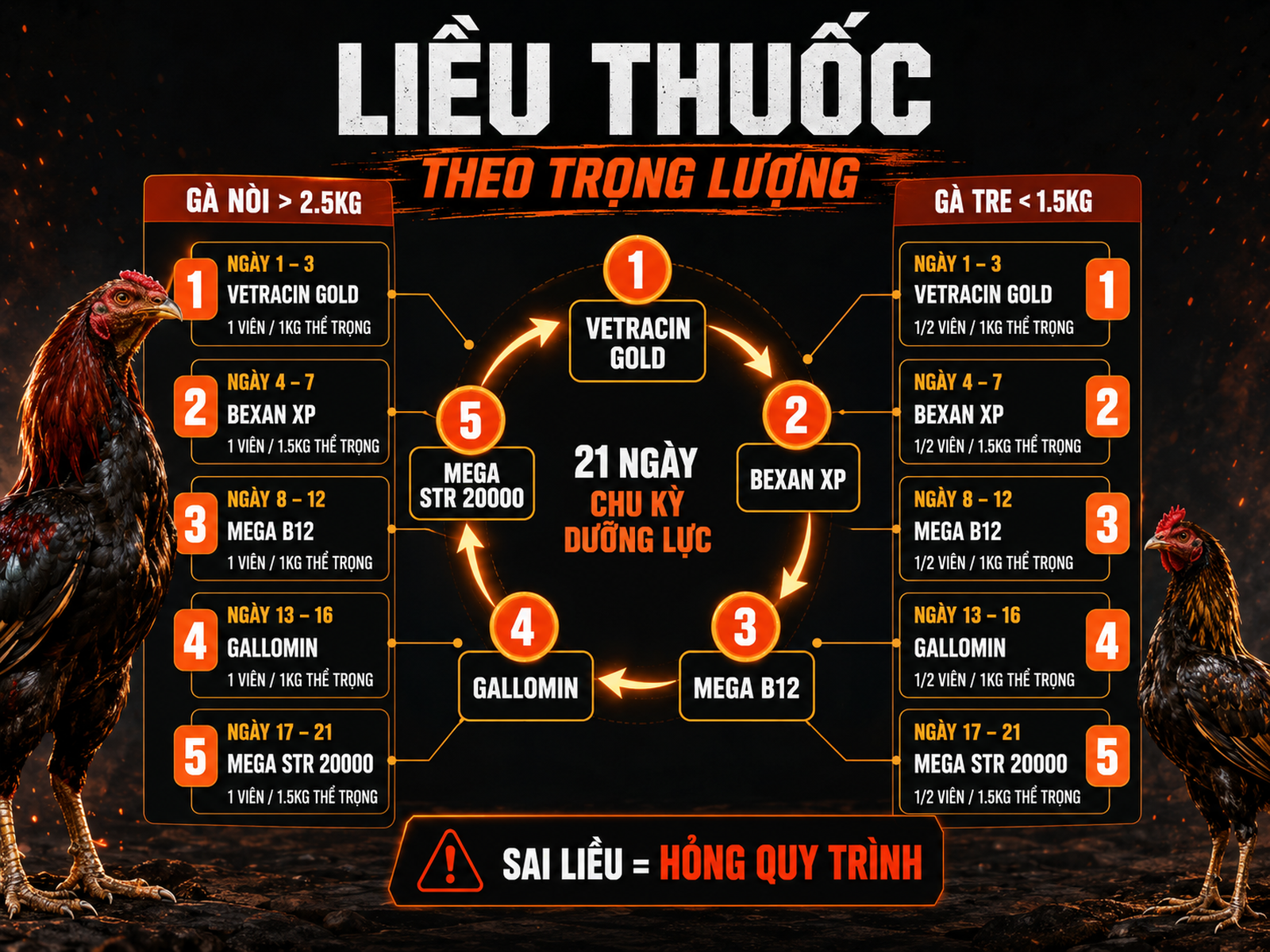 Infographic thuốc bổ trợ và liều lượng theo trọng lượng cho gà đá trong 21 ngày cuối trước khi đi trường