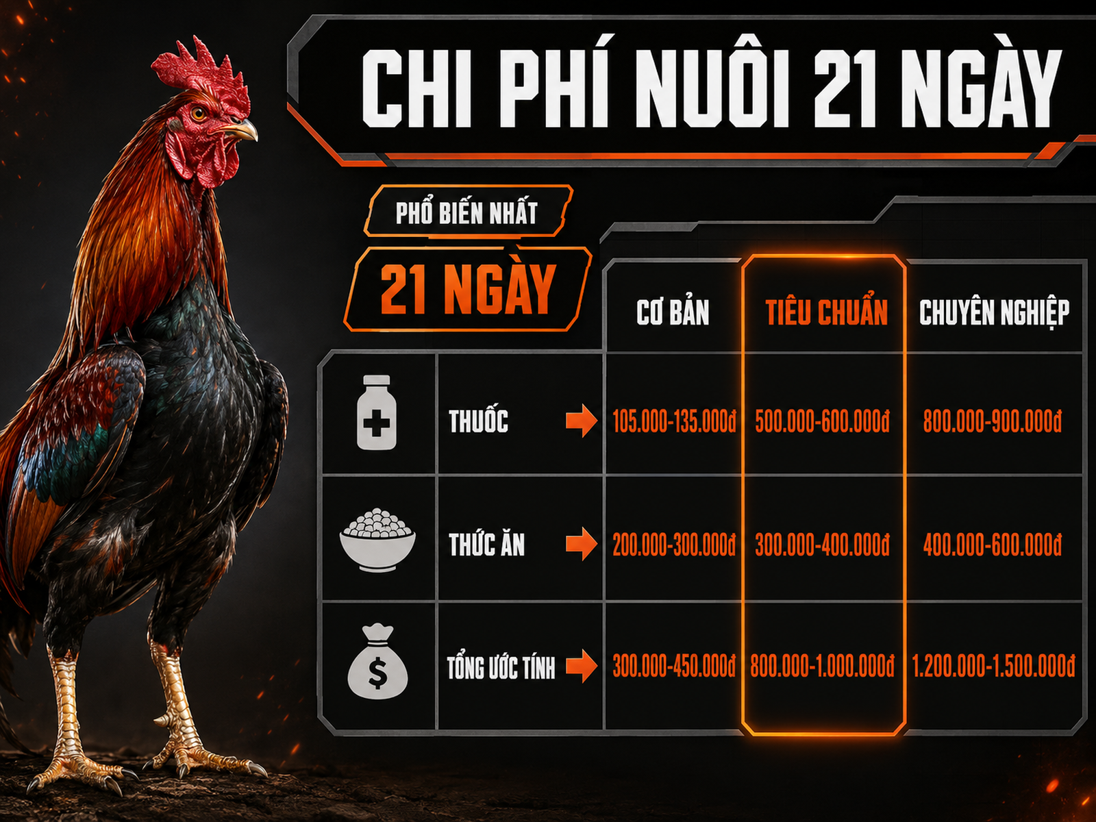 Infographic so sánh chi phí nuôi gà đá 21 ngày với ba mức đầu tư cơ bản, tiêu chuẩn và chuyên nghiệp.