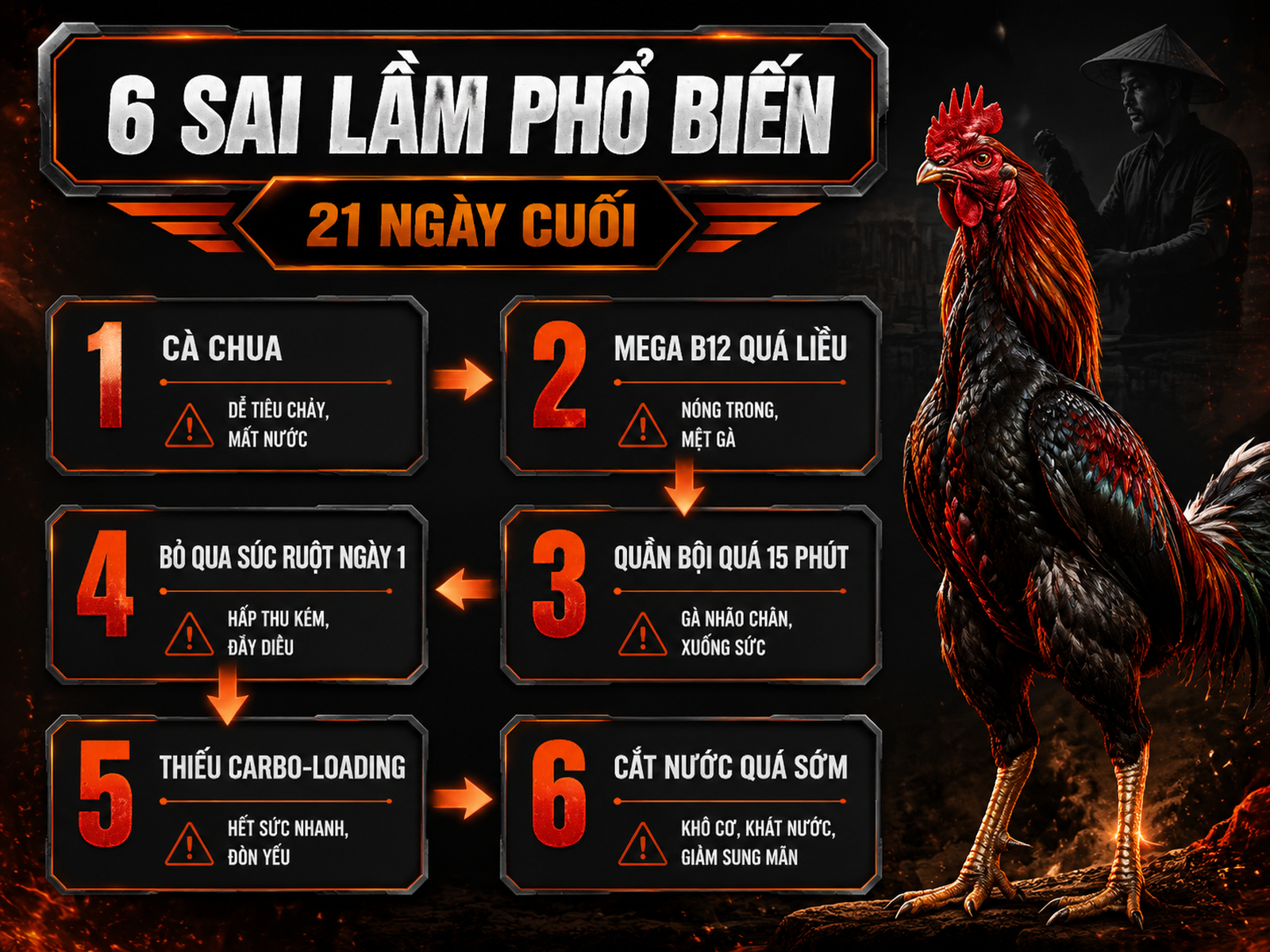 Infographic 6 sai lầm phổ biến khi nuôi gà đá 21 ngày cuối trước trận đấu