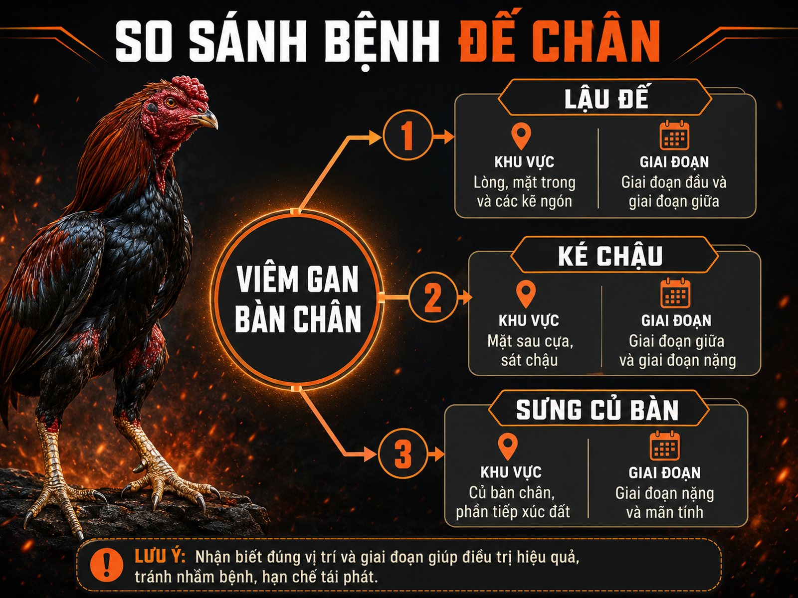 Sơ đồ so sánh lậu đế, ké chậu, sưng củ bàn ở gà chiến, phân theo vùng miền và giai đoạn