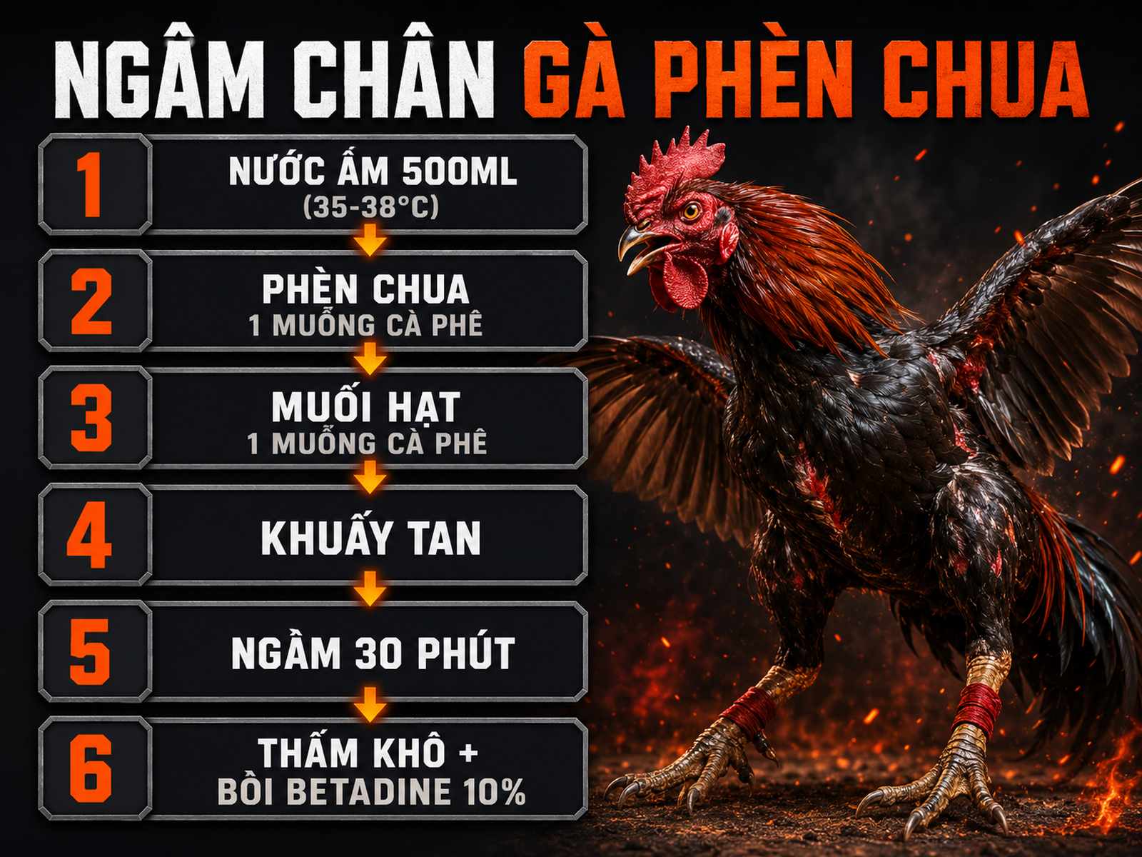 Quy trình ngâm chân gà bằng phèn chua và muối cho lậu đế, minh họa các bước từng lớp rõ ràng