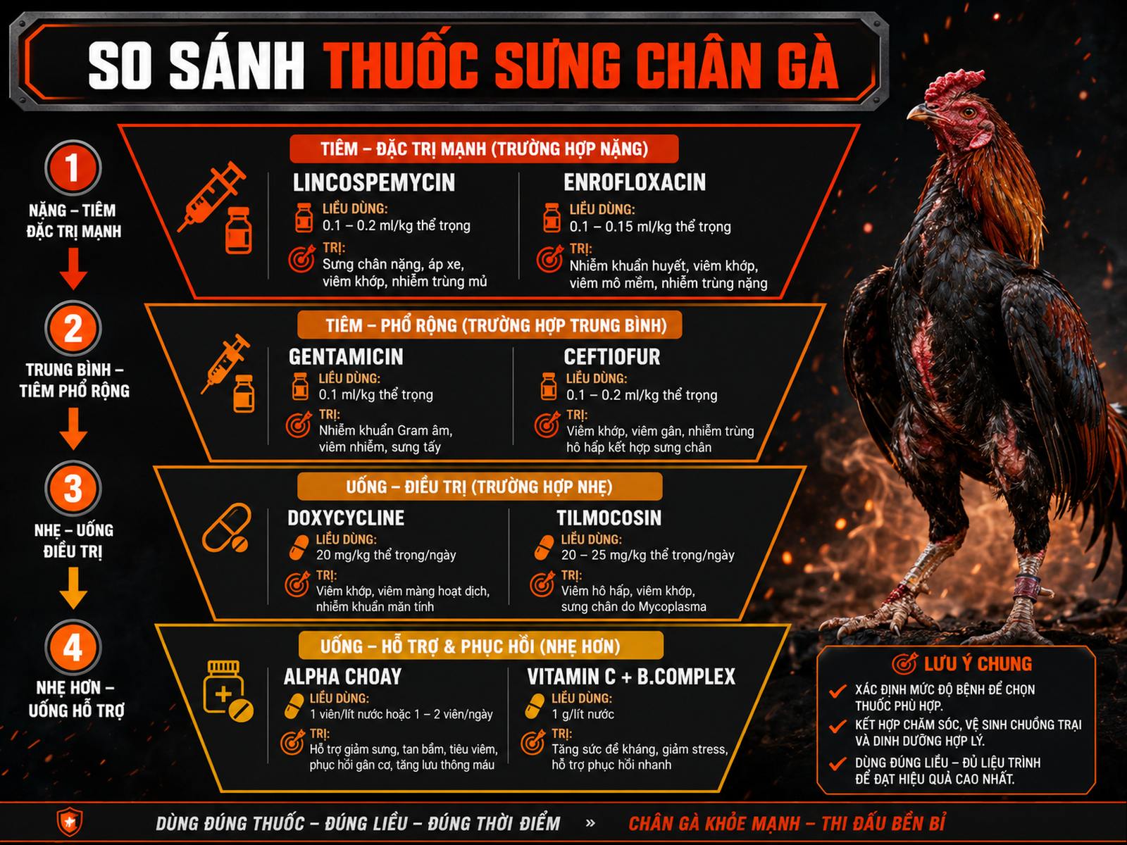 <vi>Bảng so sánh thuốc trị sưng chân gà chiến, phân loại theo liều, dạng và mức độ nặng, dành cho gà ngoại.</vi>