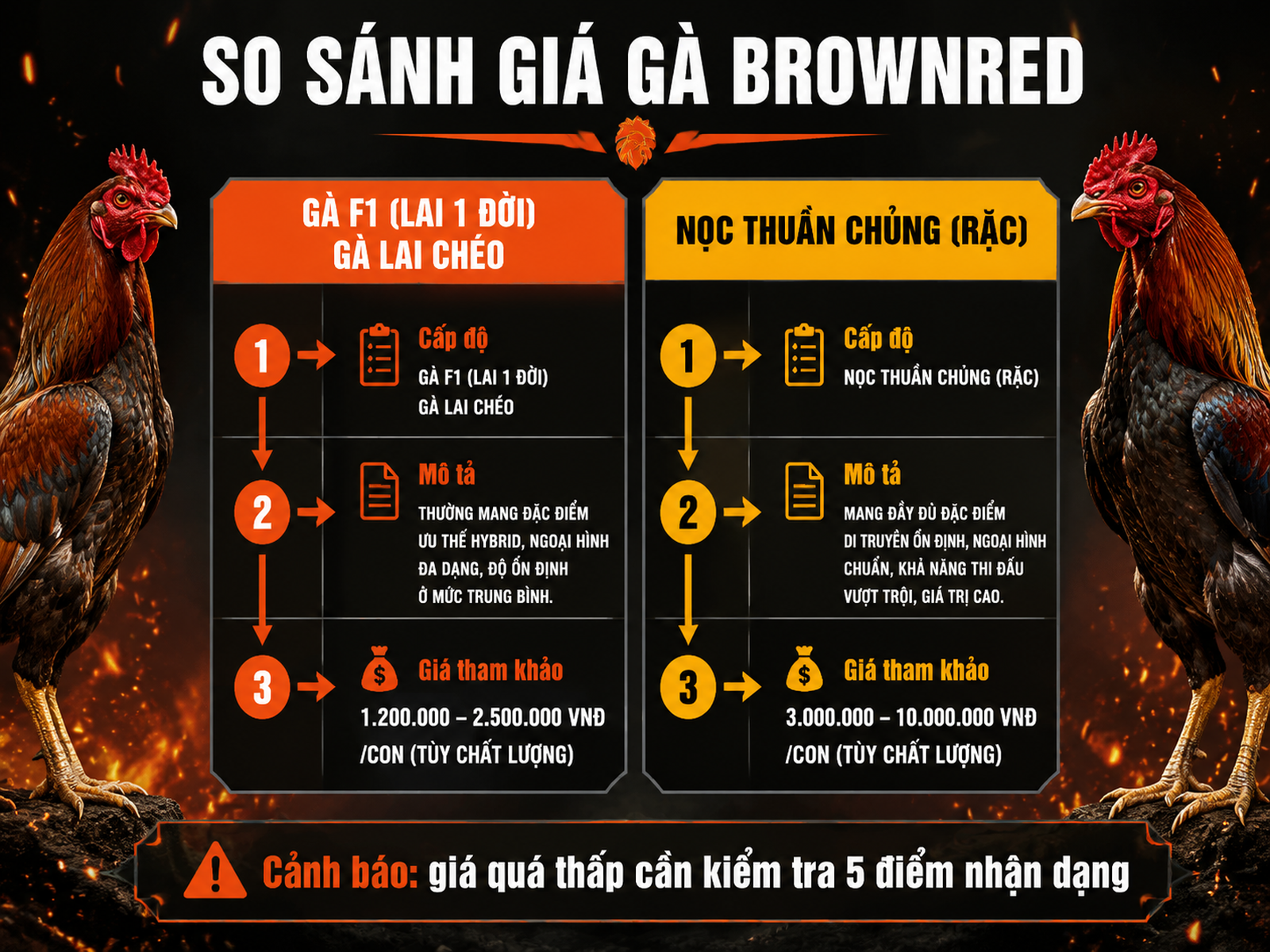 So sánh giá gà Brownred thuần chủng và gà lai tại Việt Nam, thể hiện cấp độ, mô tả và giá tham khảo