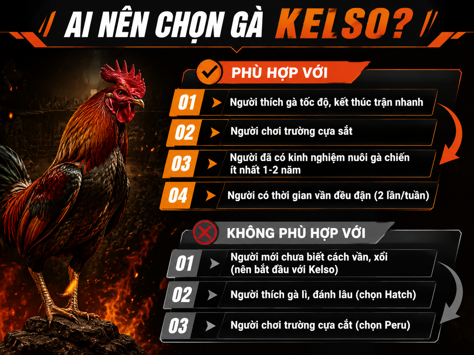 Phân loại Brownred phù hợp và không phù hợp với người nuôi gà chiến Việt Nam, trực quan, dễ đọc