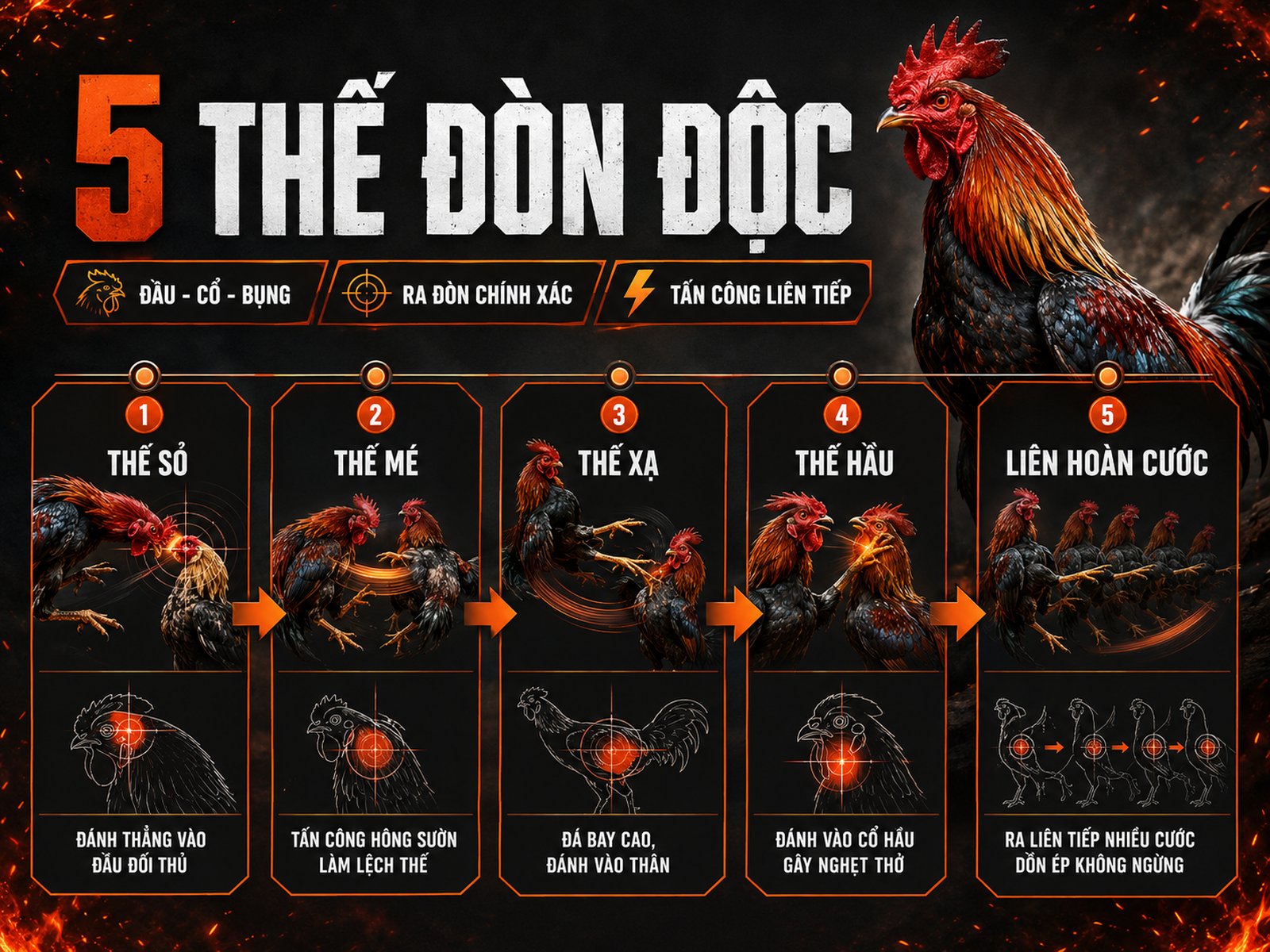 Infographic các thế gà đá đòn độc phổ biến: sỏ, mé, xạ, hầu và liên hoàn cước