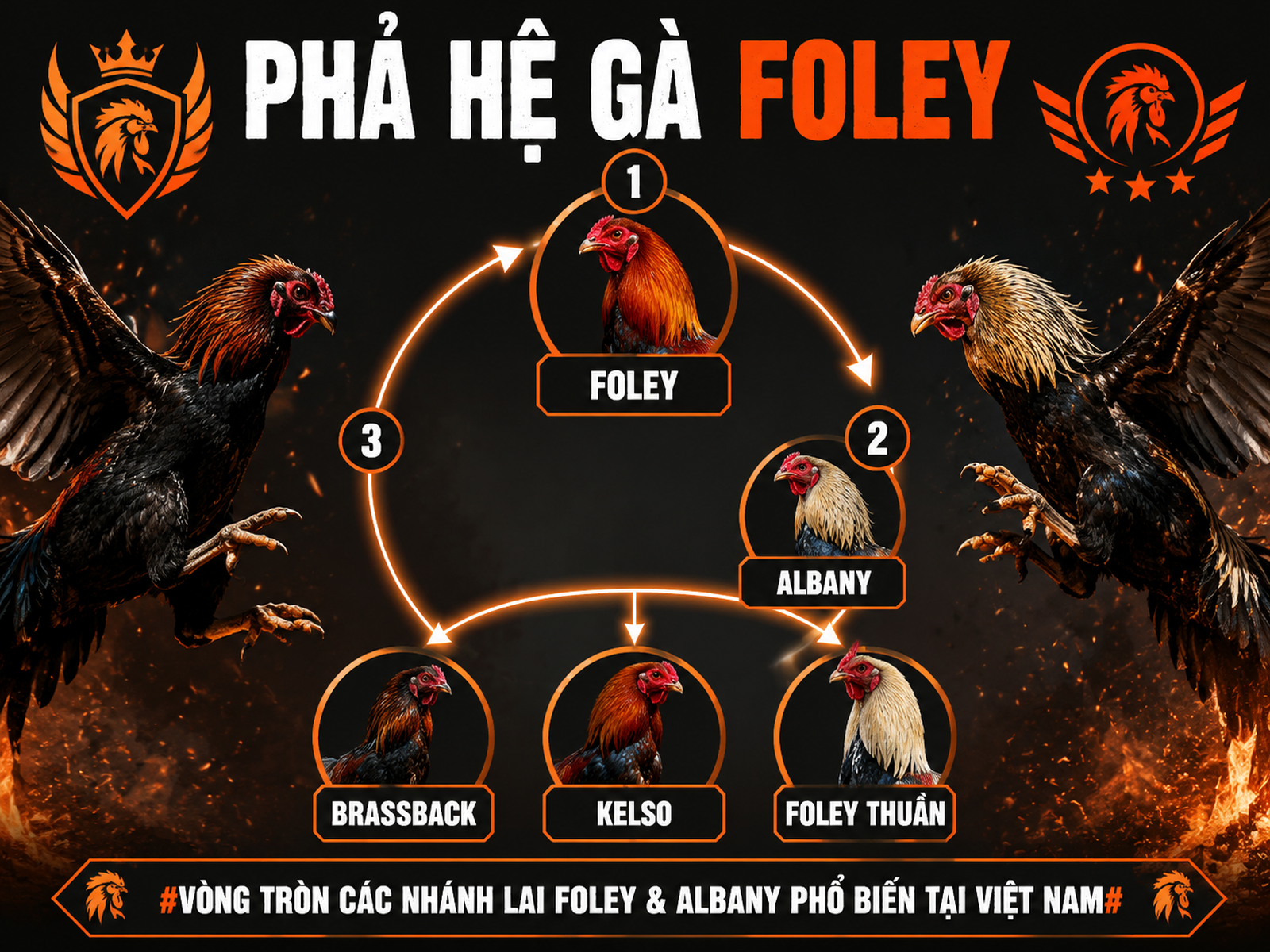 <vi>Sơ đồ phả hệ gà chiến Foley, Albany và các nhánh lai Brassback, Kelso, thuần chủng</vi>