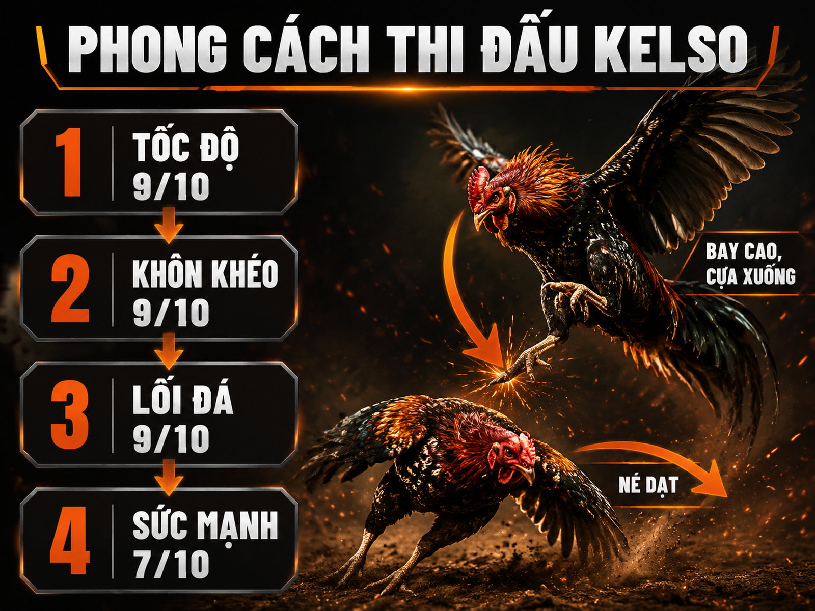 Bảng so sánh phong cách thi đấu và stats gà Kelso, hình ảnh gà bay cao cựa xuống, né dạt, thể hiện tốc độ, khôn khéo, lối đá và sức mạnh