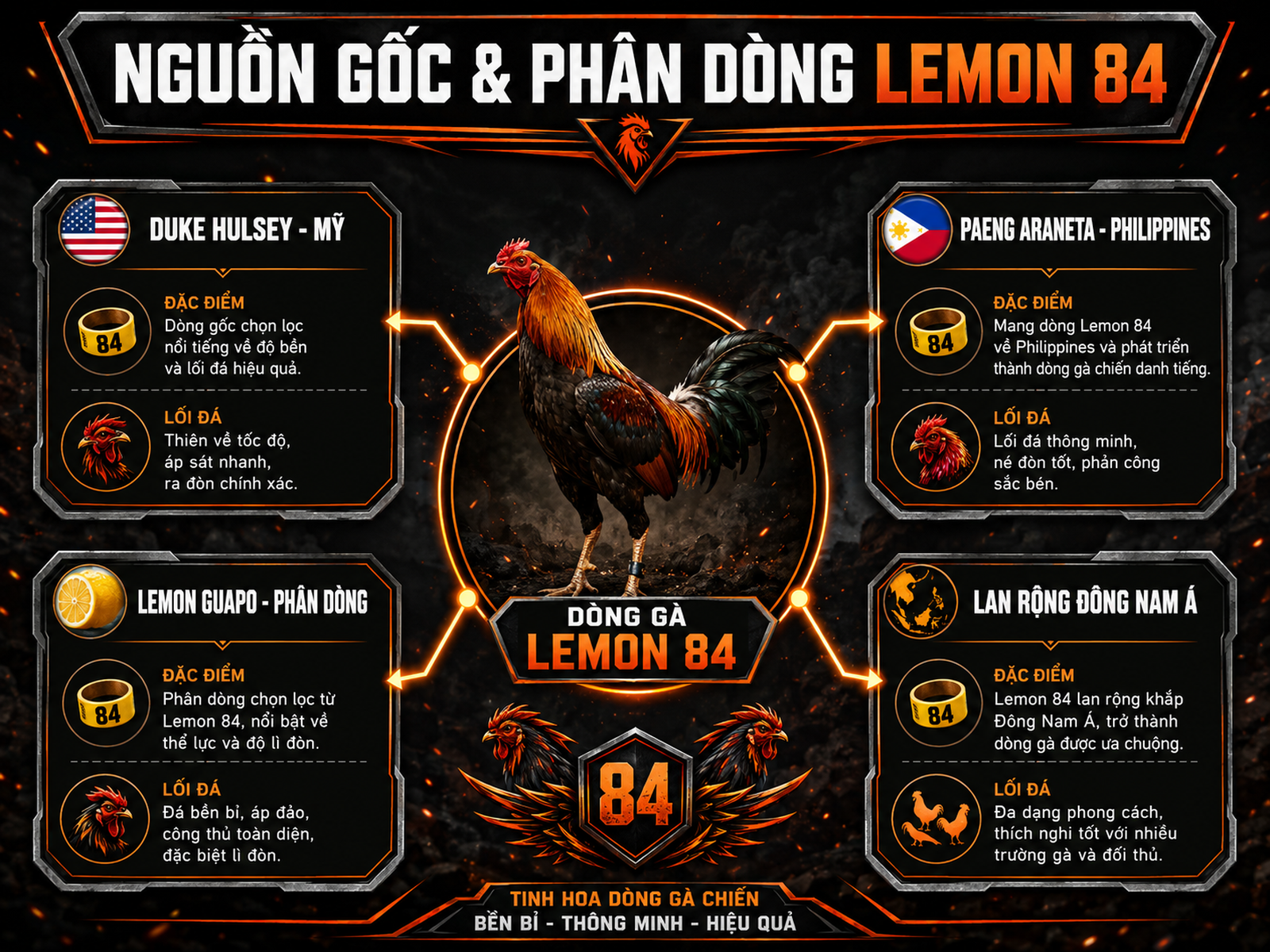 Sơ đồ so sánh nguồn gốc và phân dòng gà Lemon 84, Lemon Guapo, từ Mỹ đến Philippines và lan ra Đông Nam Á