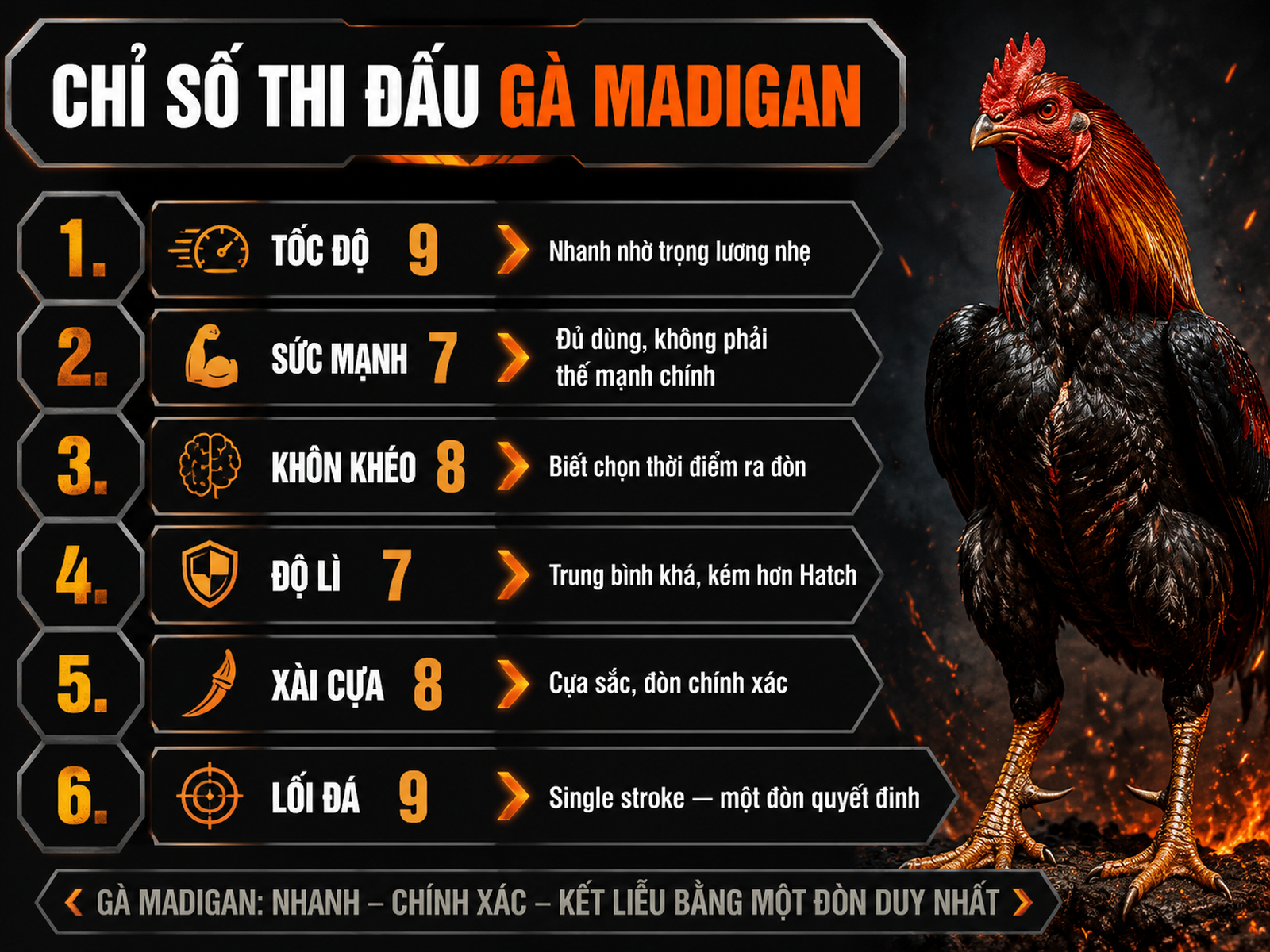 Bảng so sánh chi tiết chỉ số thi đấu Gà Madigan Claret, tốc độ, sức mạnh, lối đá single stroke