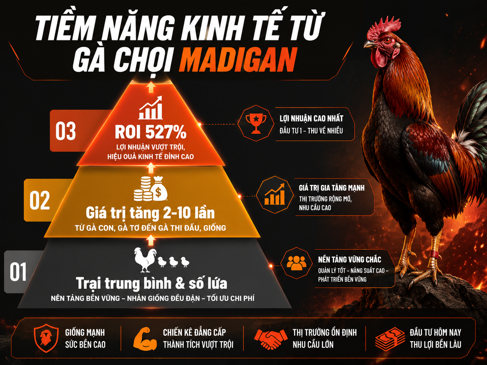 <vi SEO>Infographic minh họa ROI và giá trị thương mại khi nuôi gà Madigan Claret