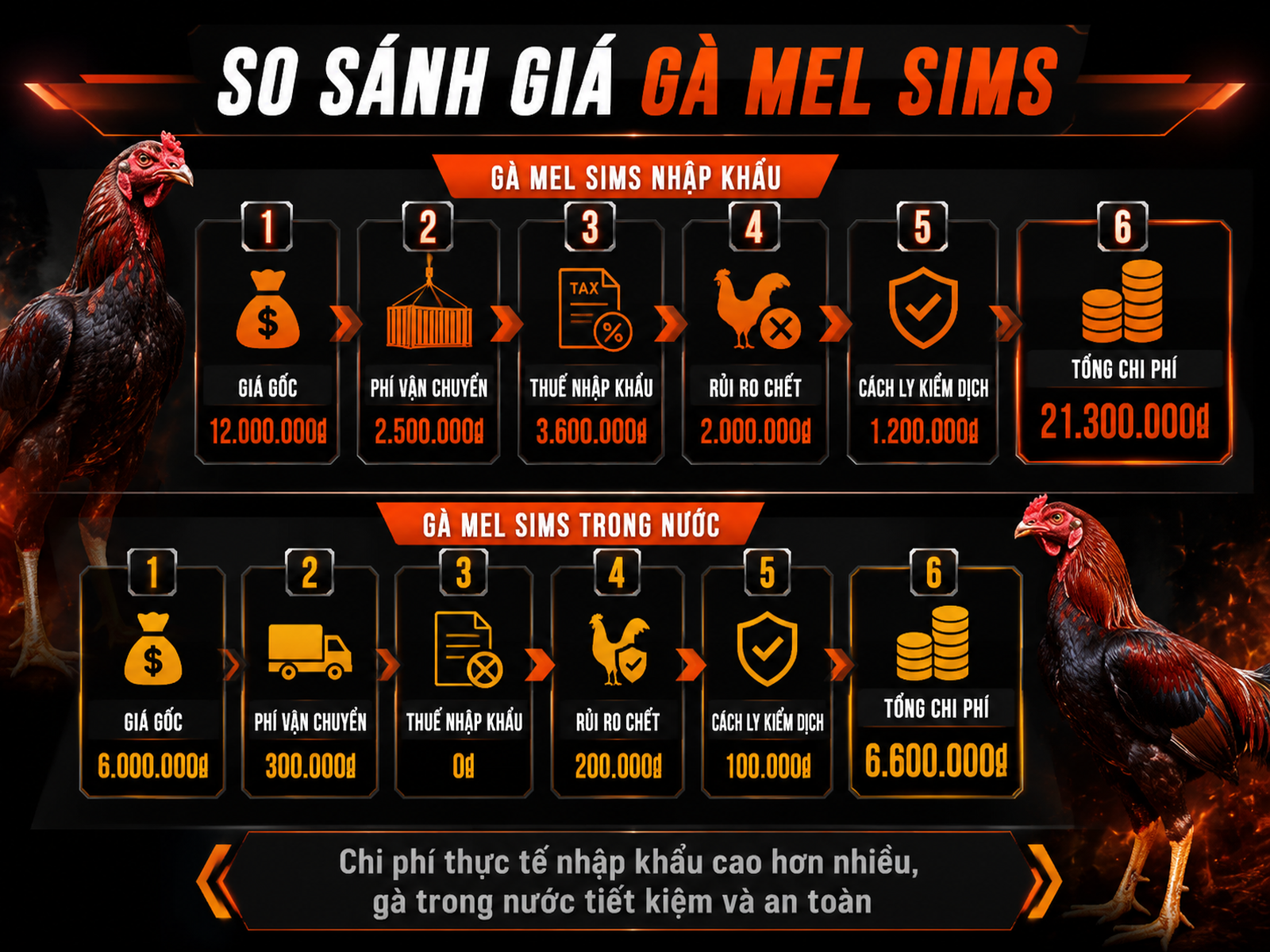 So sánh giá nhập khẩu và giá gà Mel Sims tại Việt Nam, phân tích chi phí rõ ràng, gà chiến oai vệ.