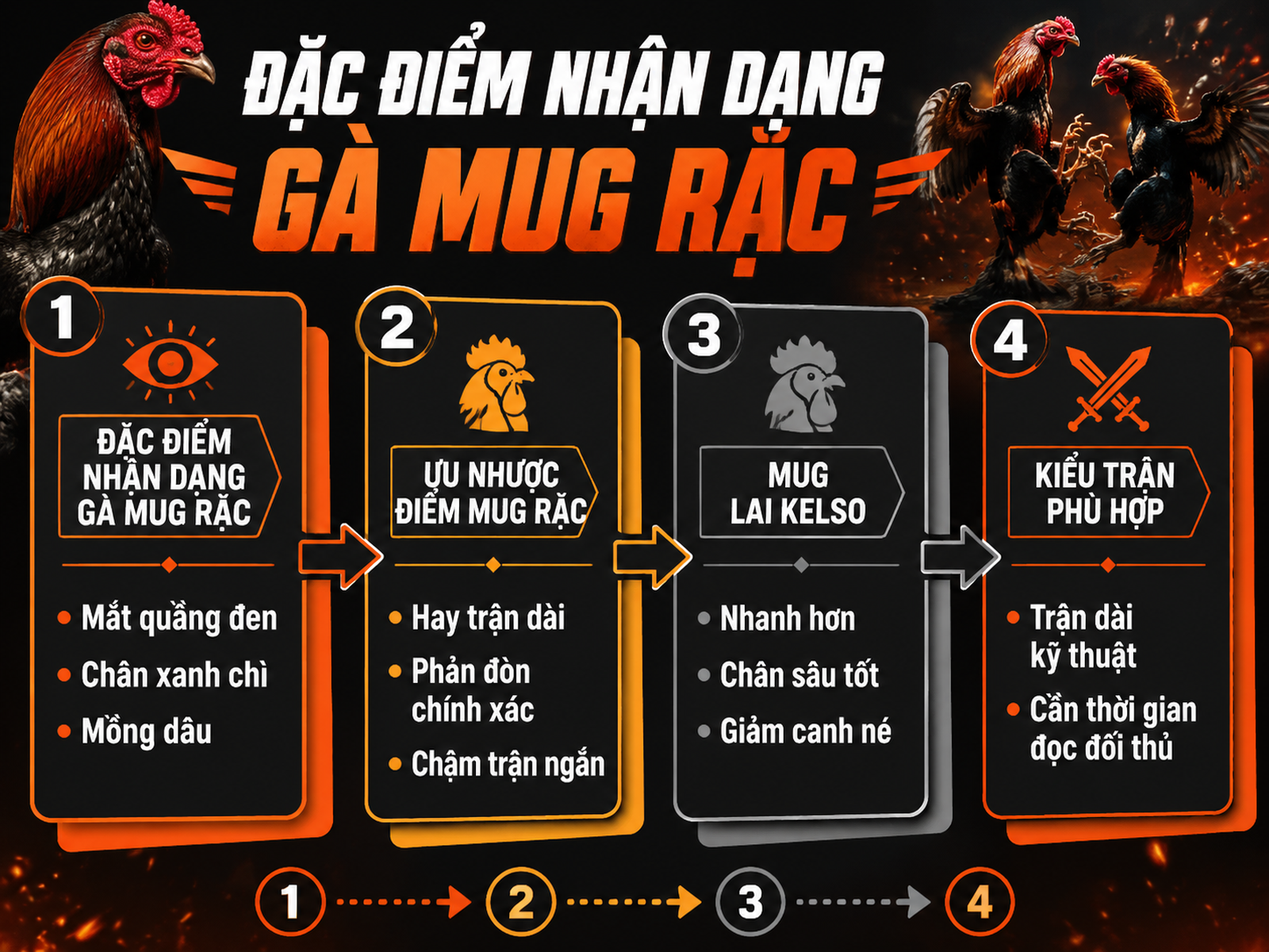 Câu hỏi thường gặp về gà Mug