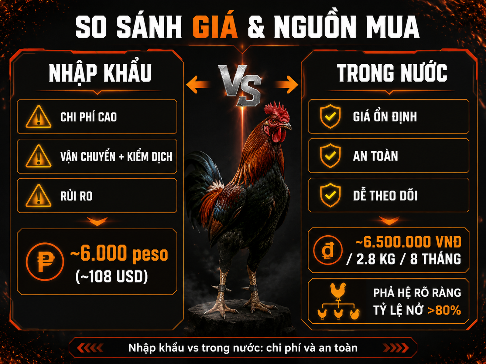 Mua Gà Nigger Roundhead Tại Nghĩa Gò Công