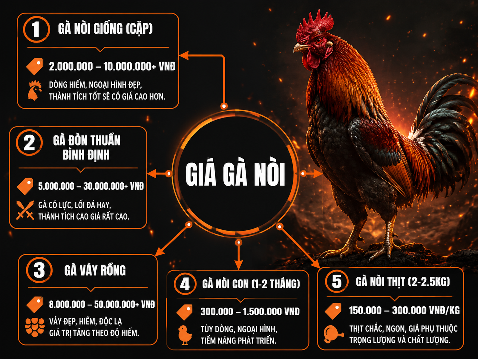 Giá gà nòi theo dòng và mục đích nuôi
